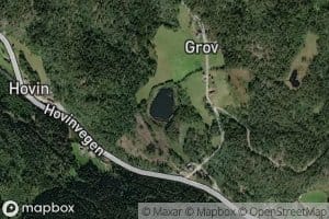 Grovstjorni