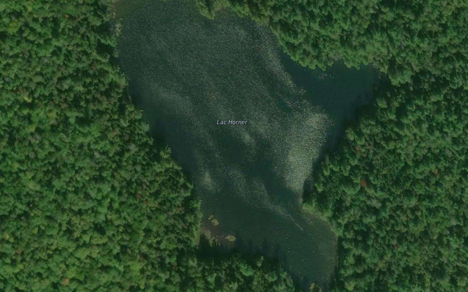 Satellite map of the Lac Horner