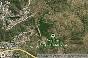 Avis Dam