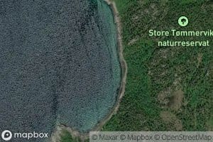 Store Tommervika