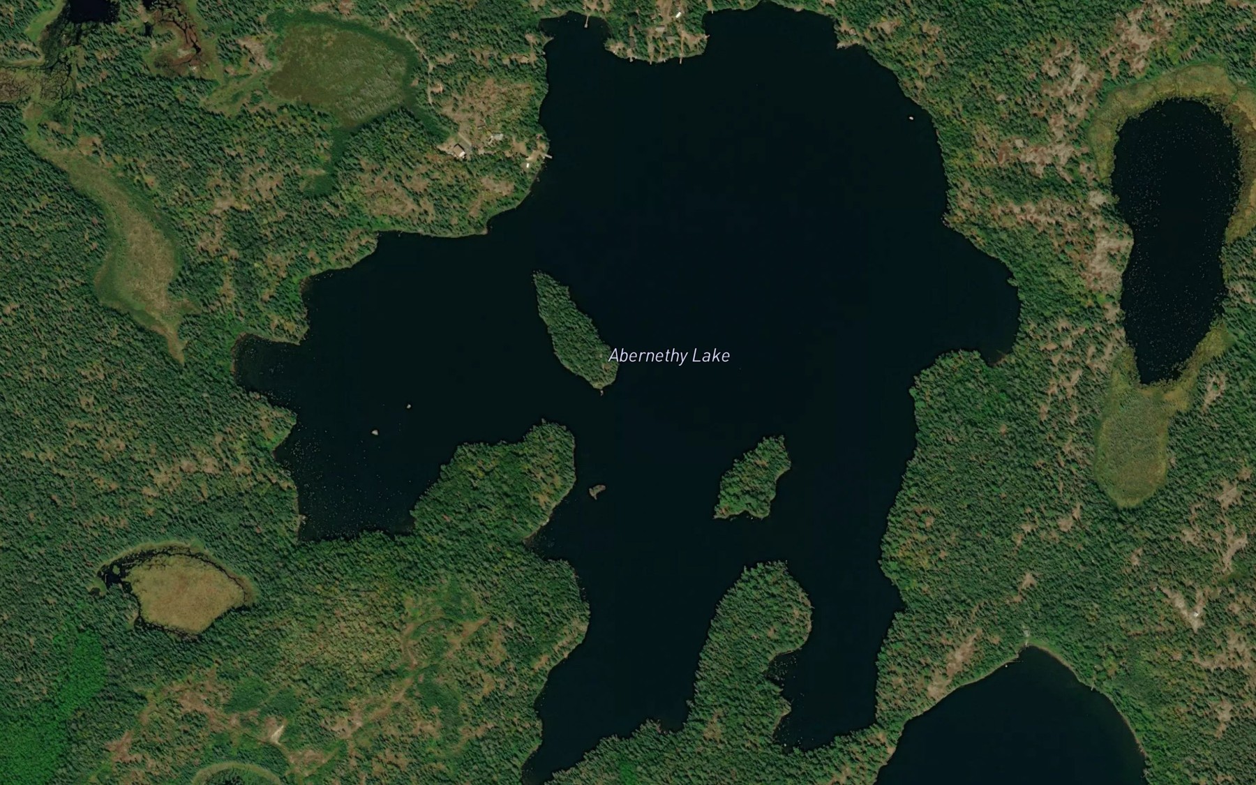 Satellite map of the Abernethy Lake