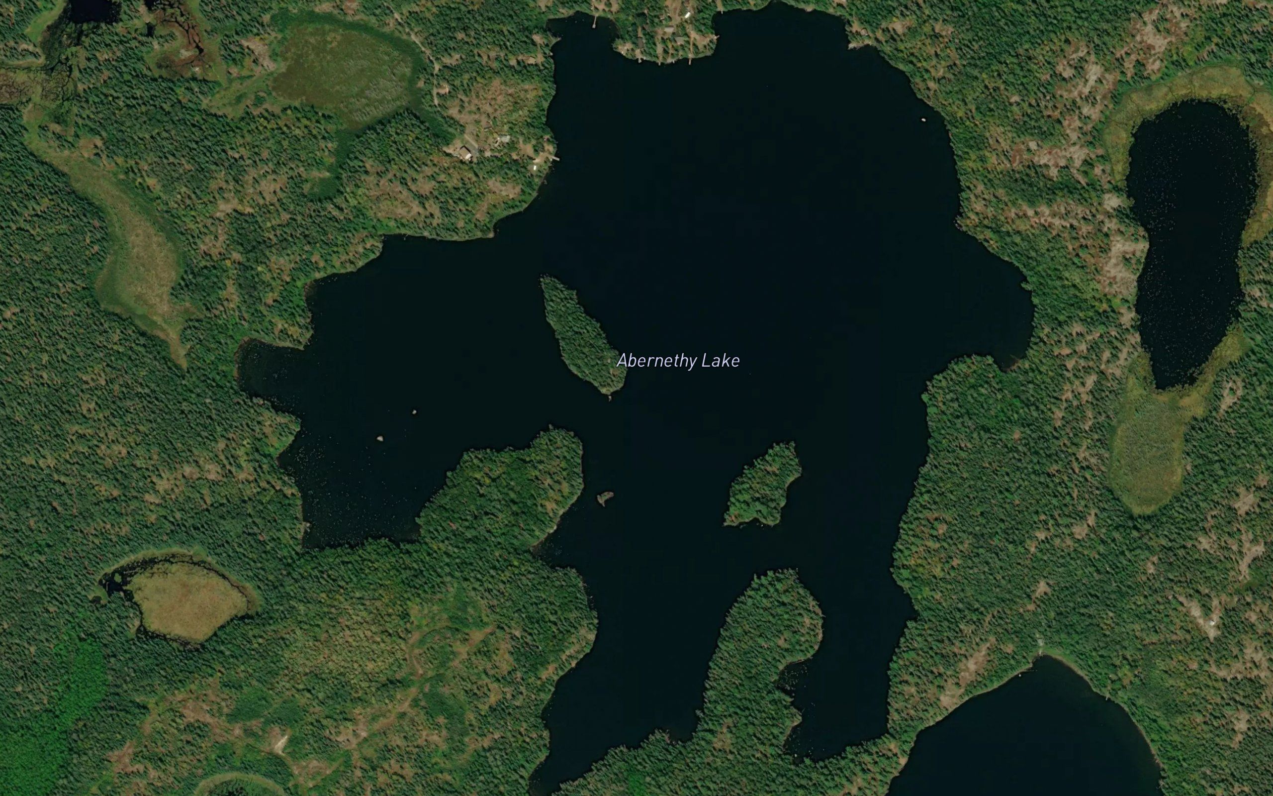 Abernethy Lake