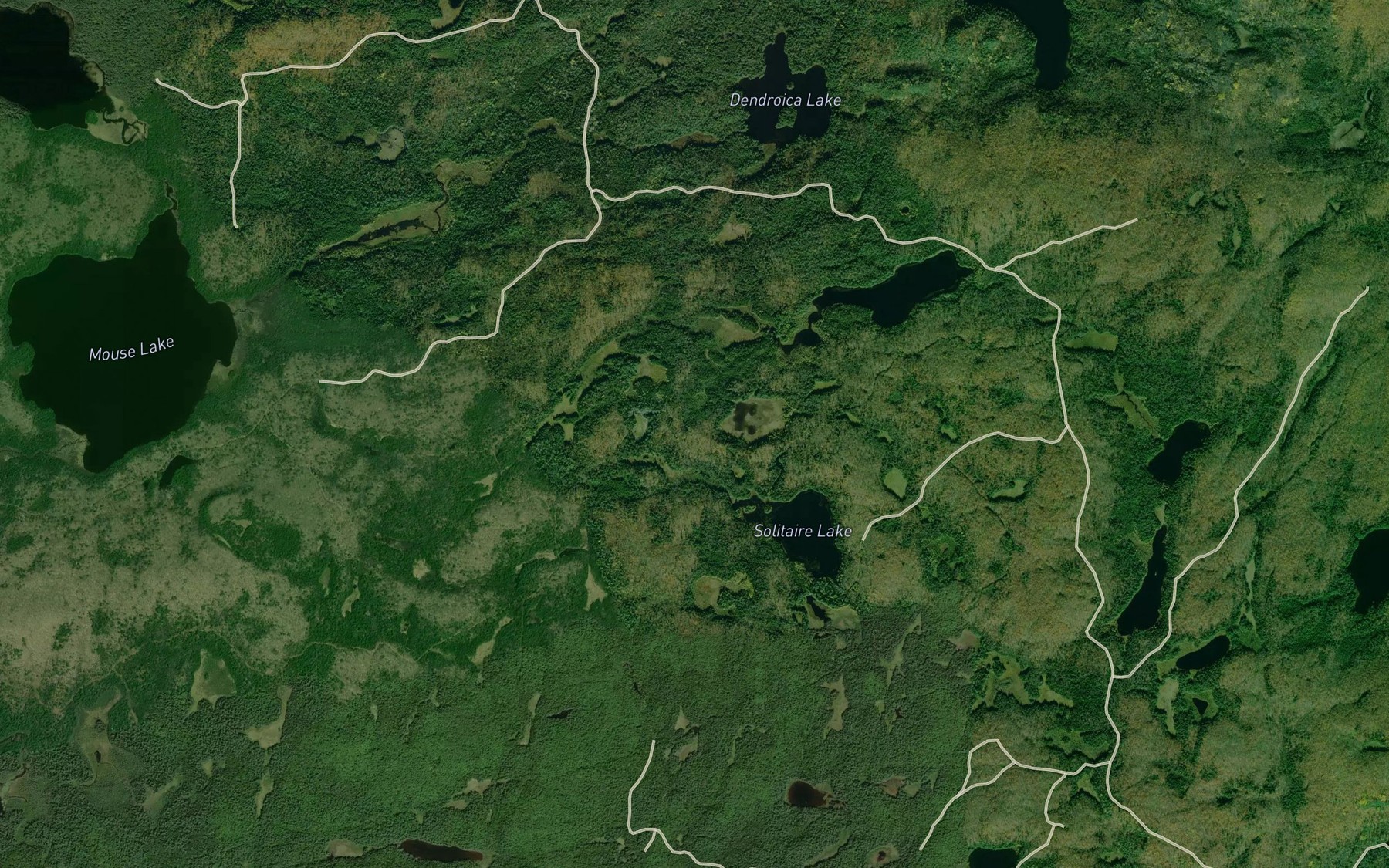 Satellite map of the Solitaire Creek