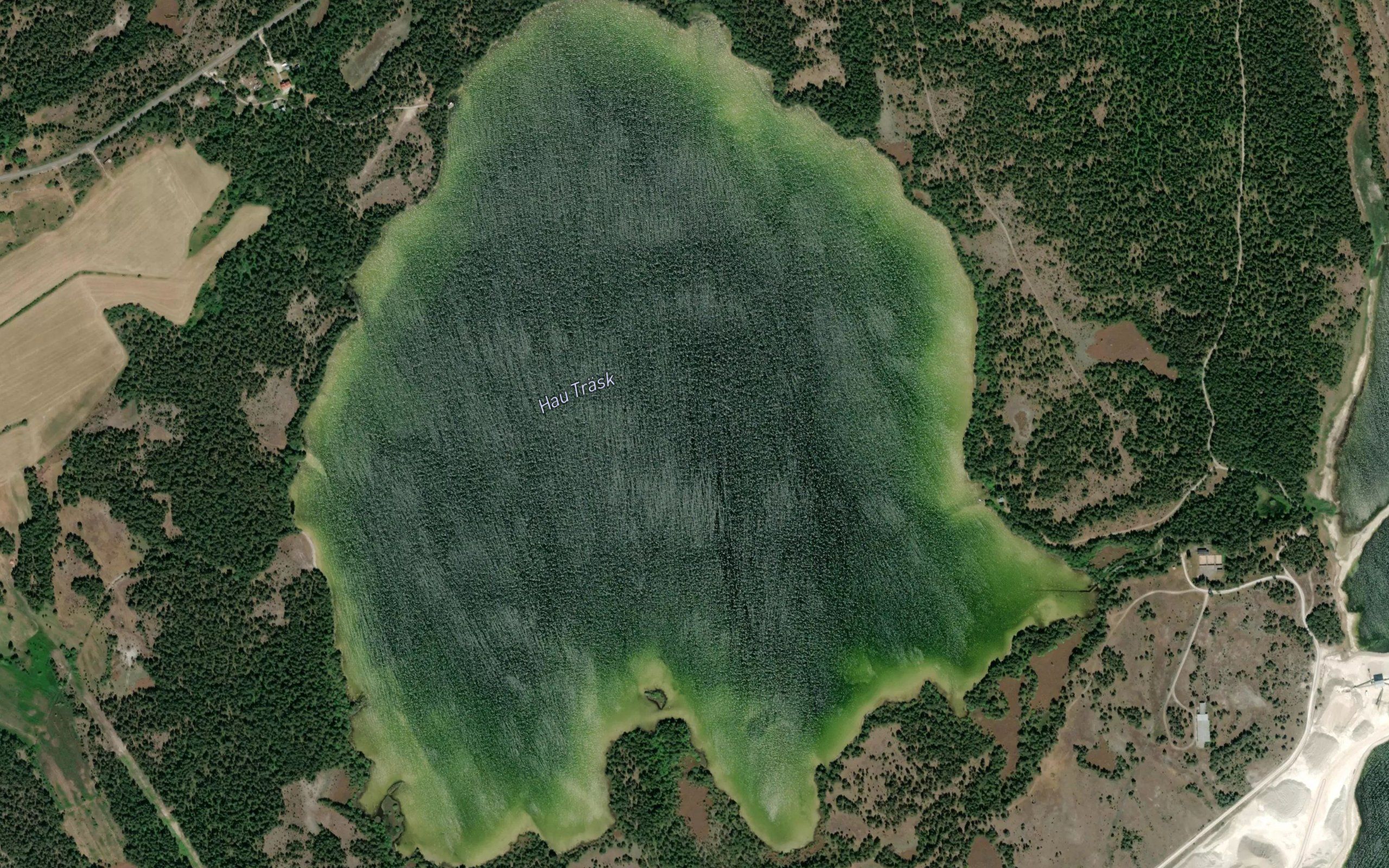 Hautraesk