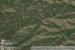 Dave Littlejohn Spring