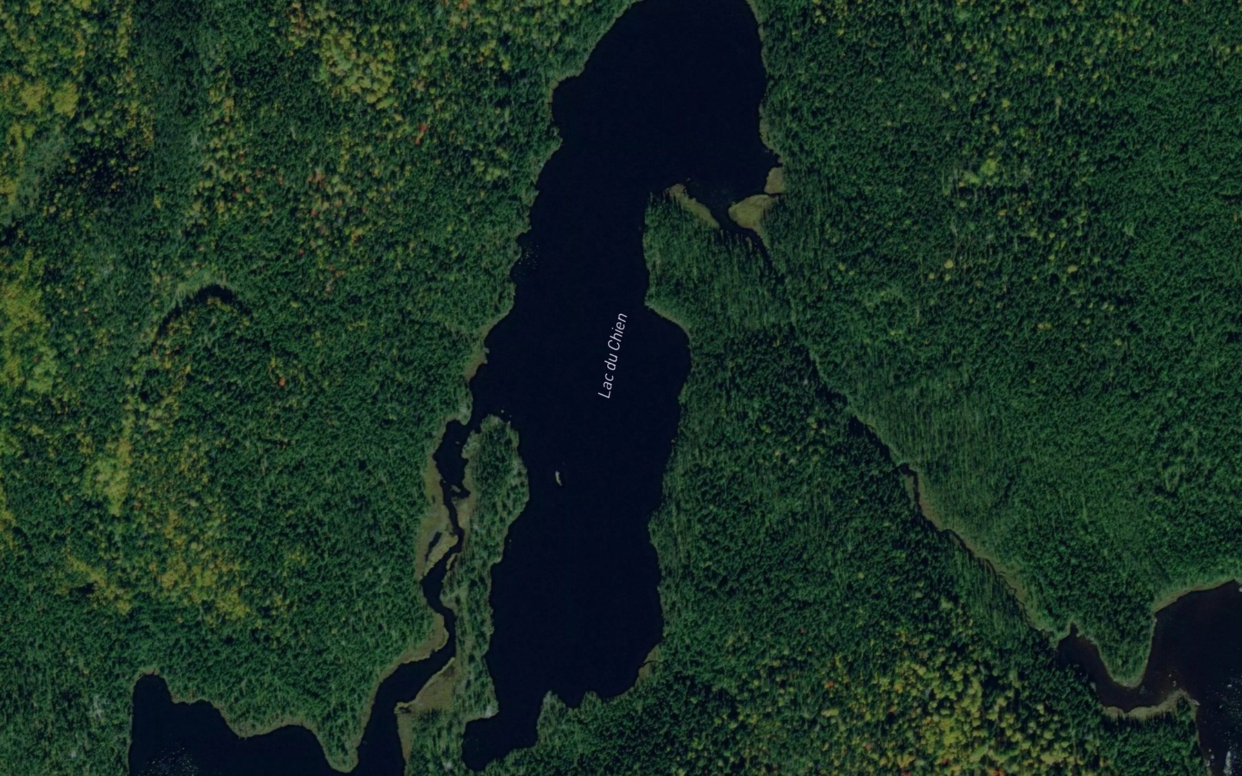 Satellite map of the Lac du Chien