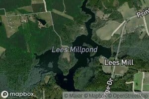 Lees Millpond