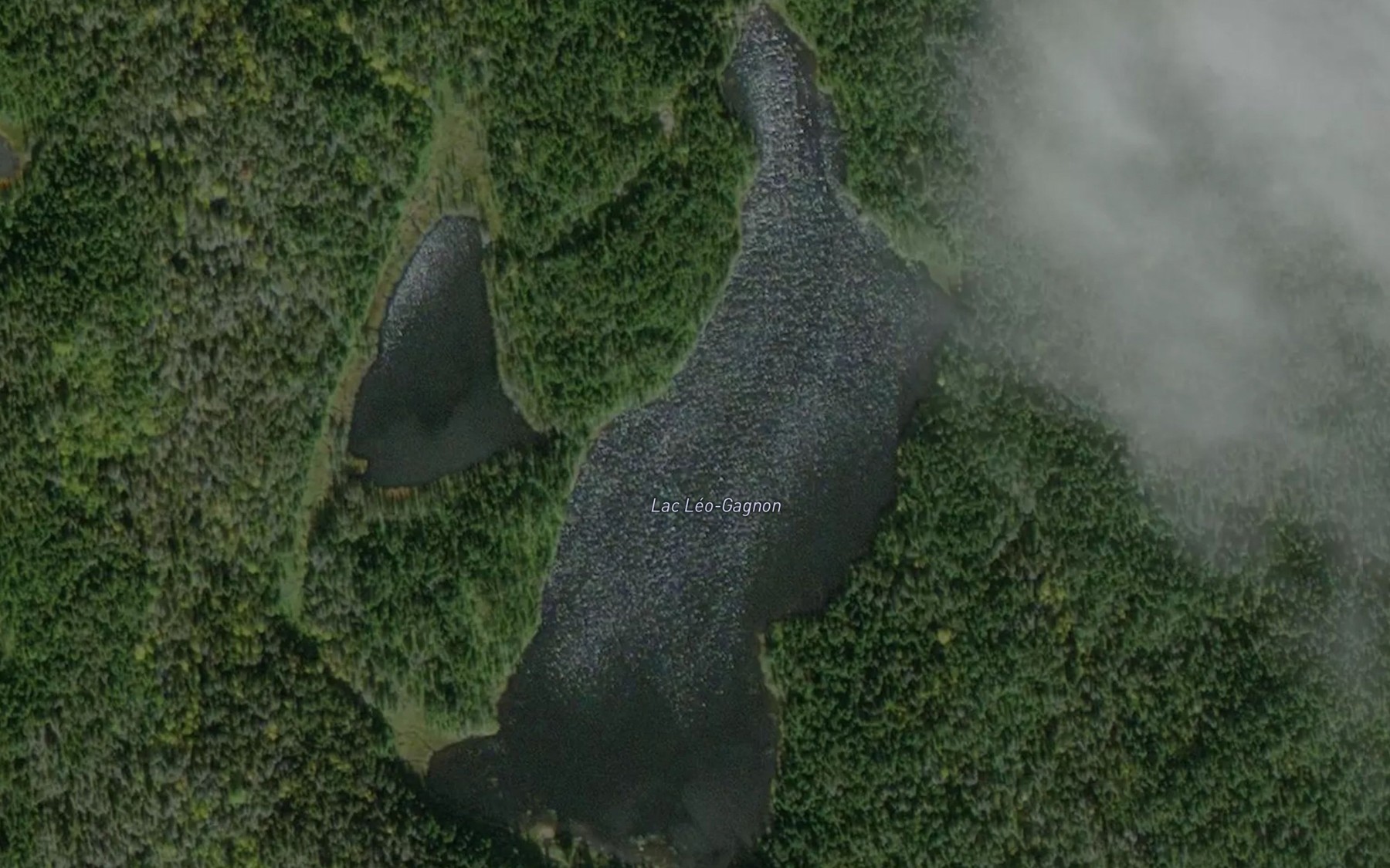 Satellite map of the Lac Leo-Gagnon