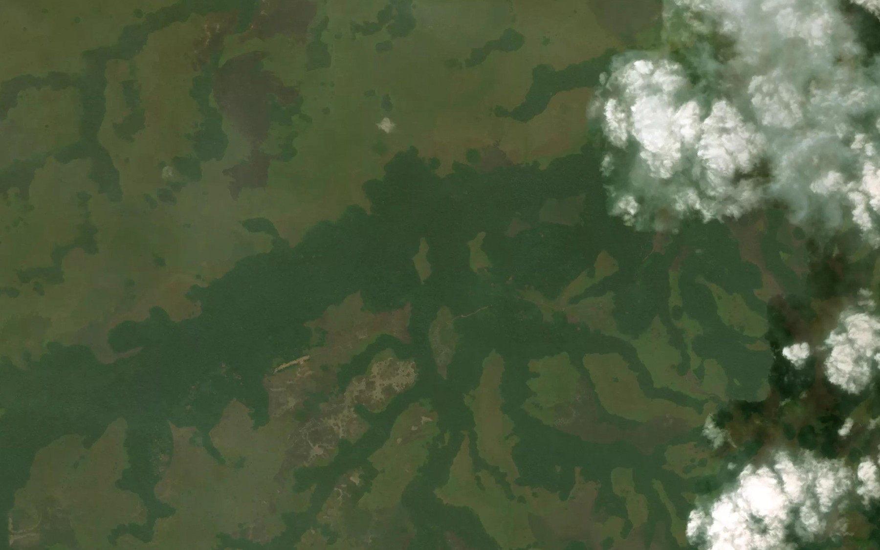 Satellite map of the Ossibi
