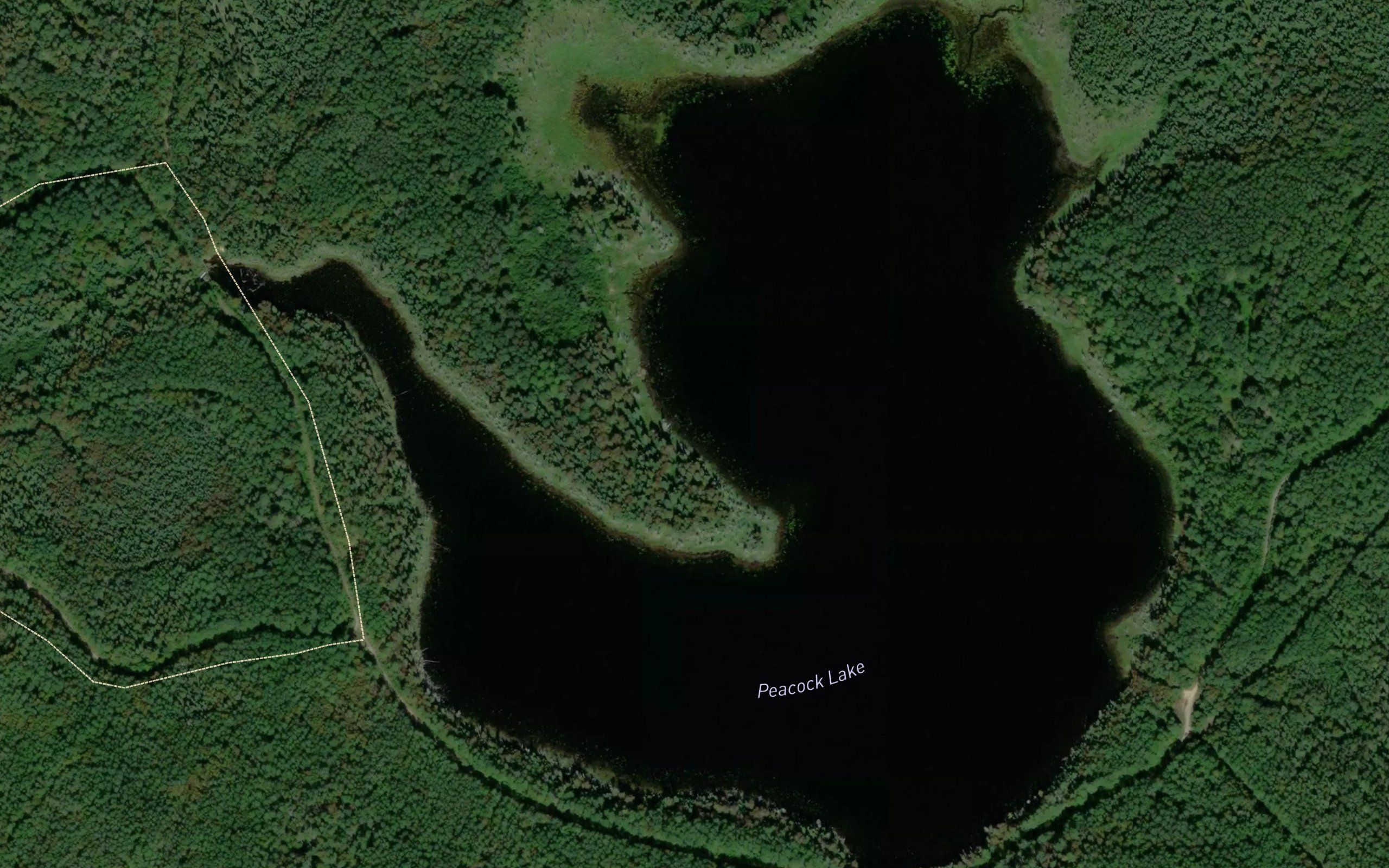 Peacock Lake