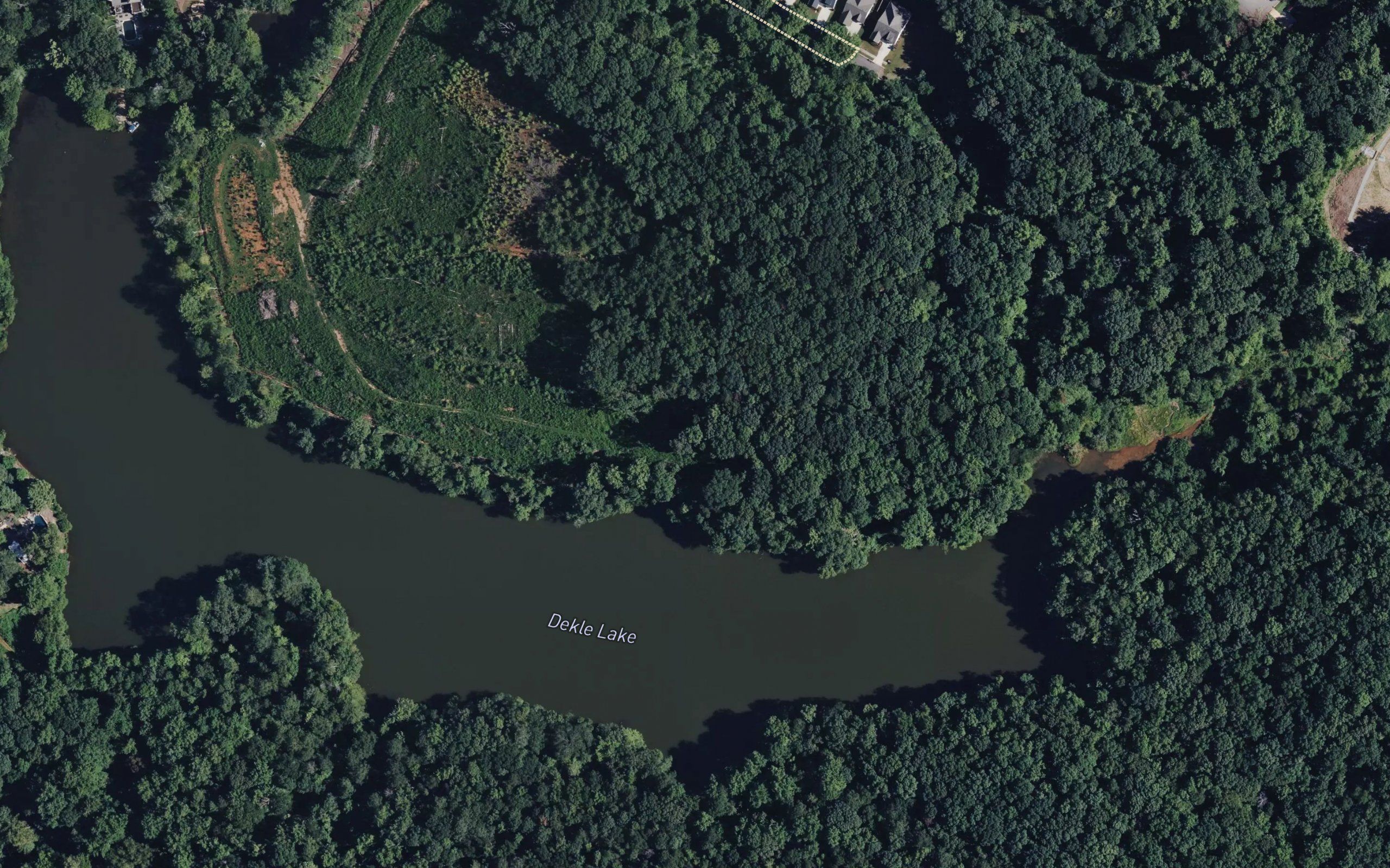 Dekle Lake