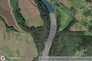 Newitt Creek