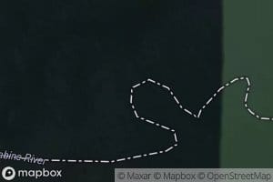 Vines Old River Lake