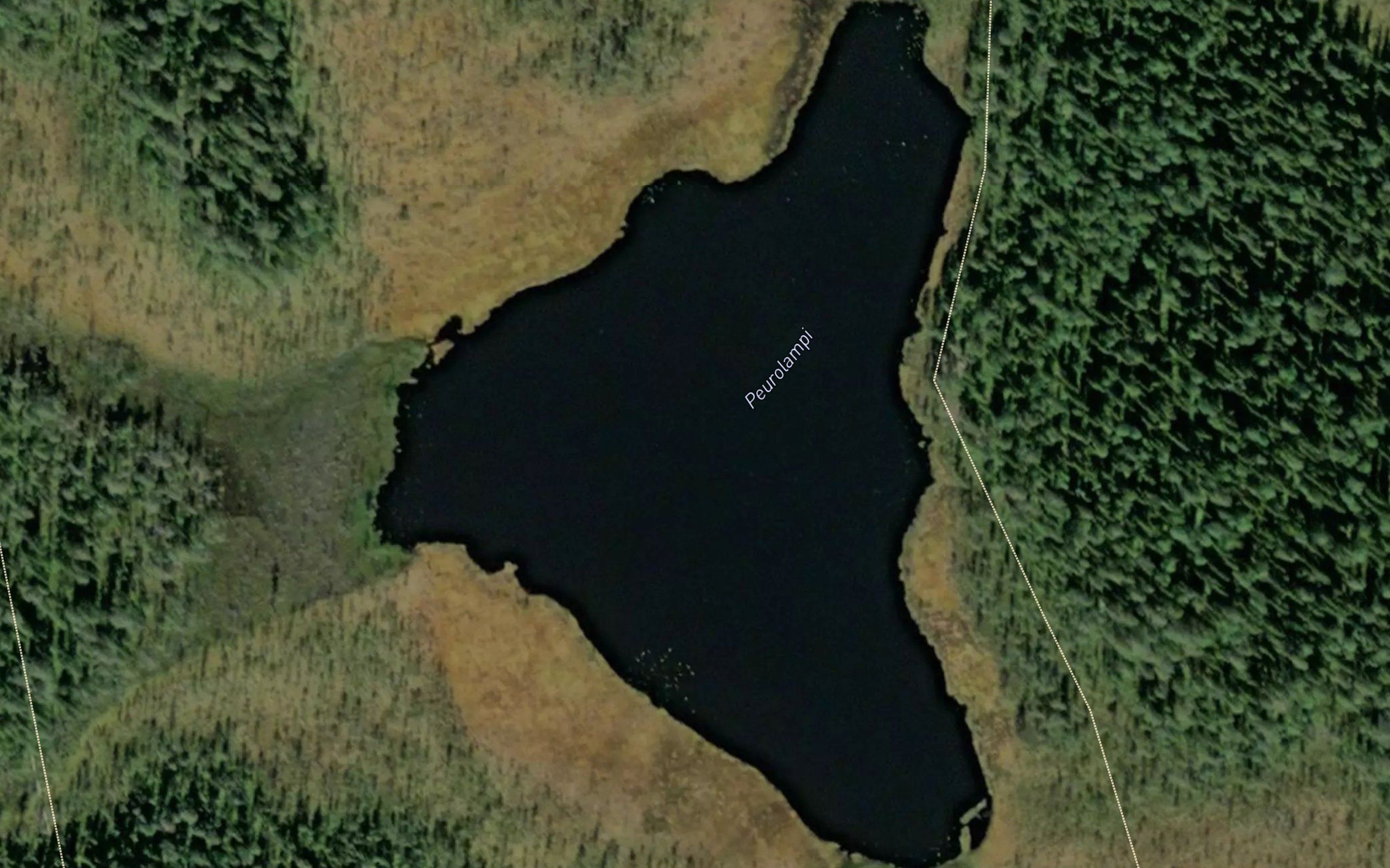 Peurolampi