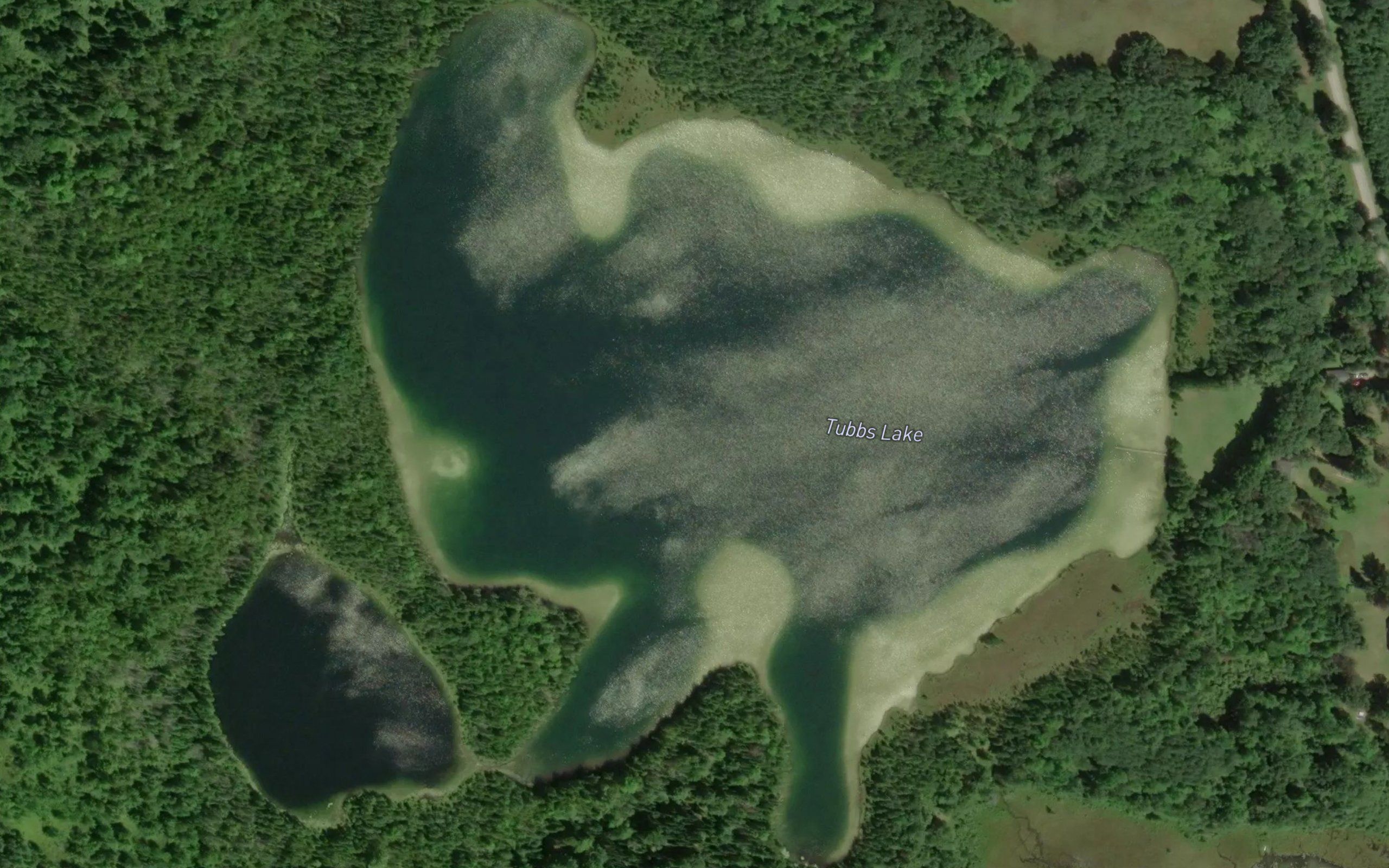 Tubbs Lake
