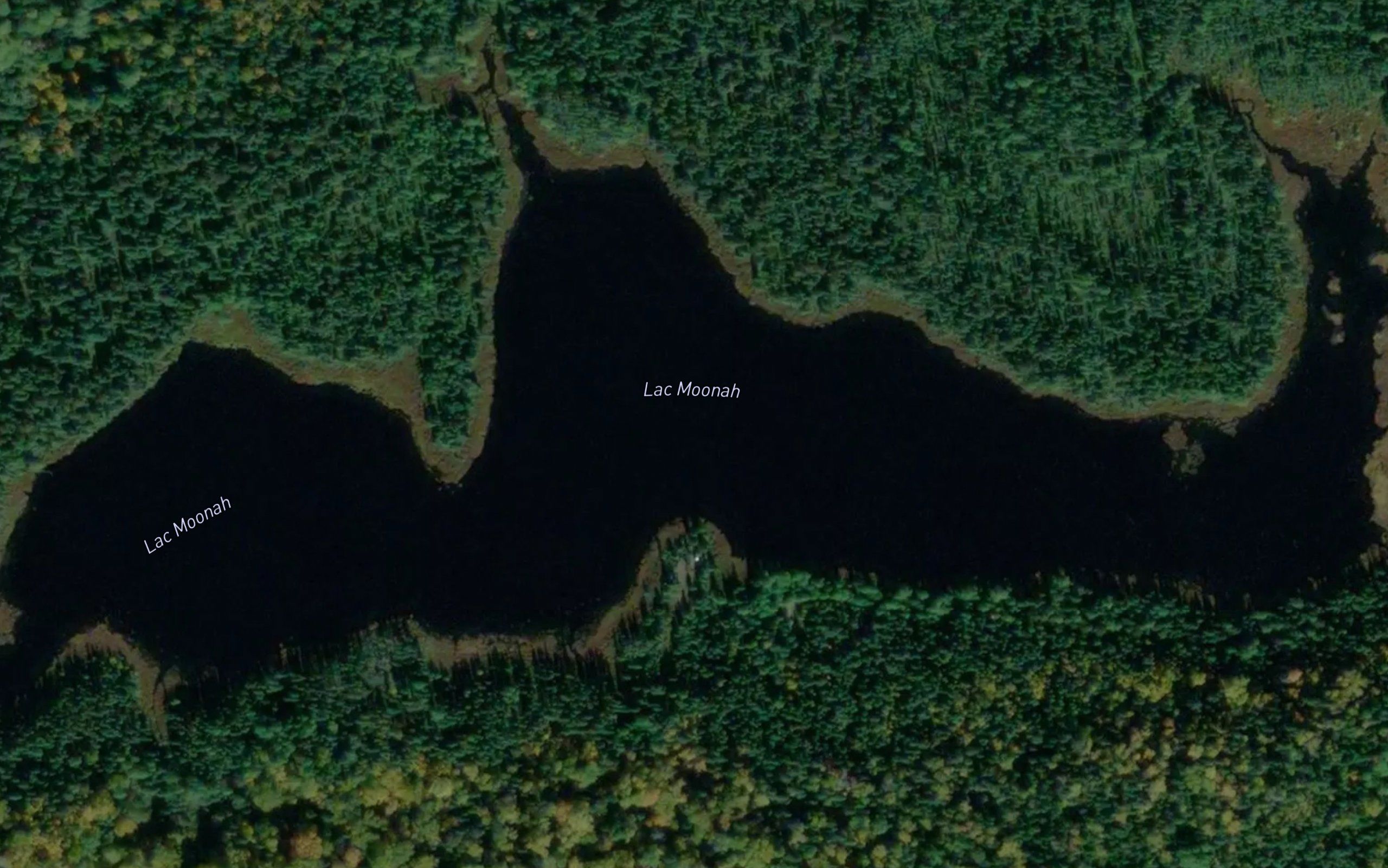 Lac Moonah