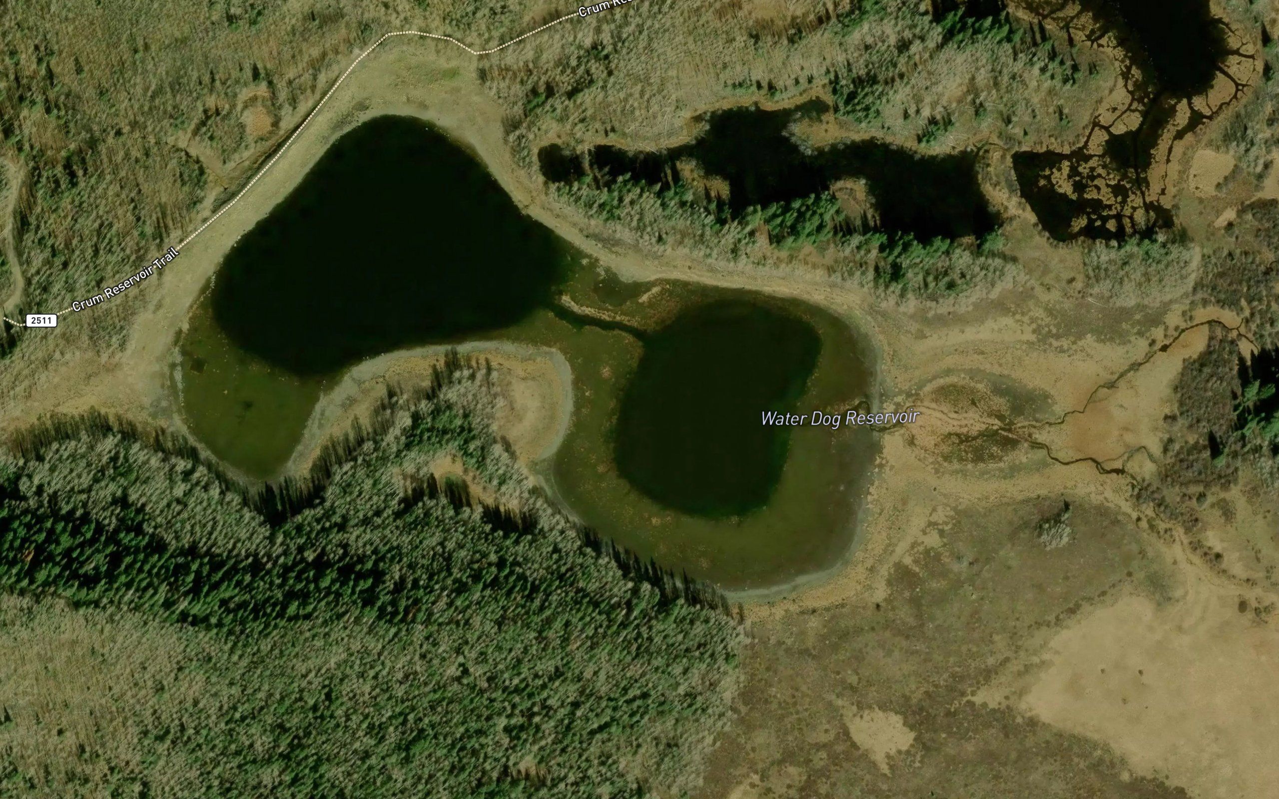 Water Dog Reservoir