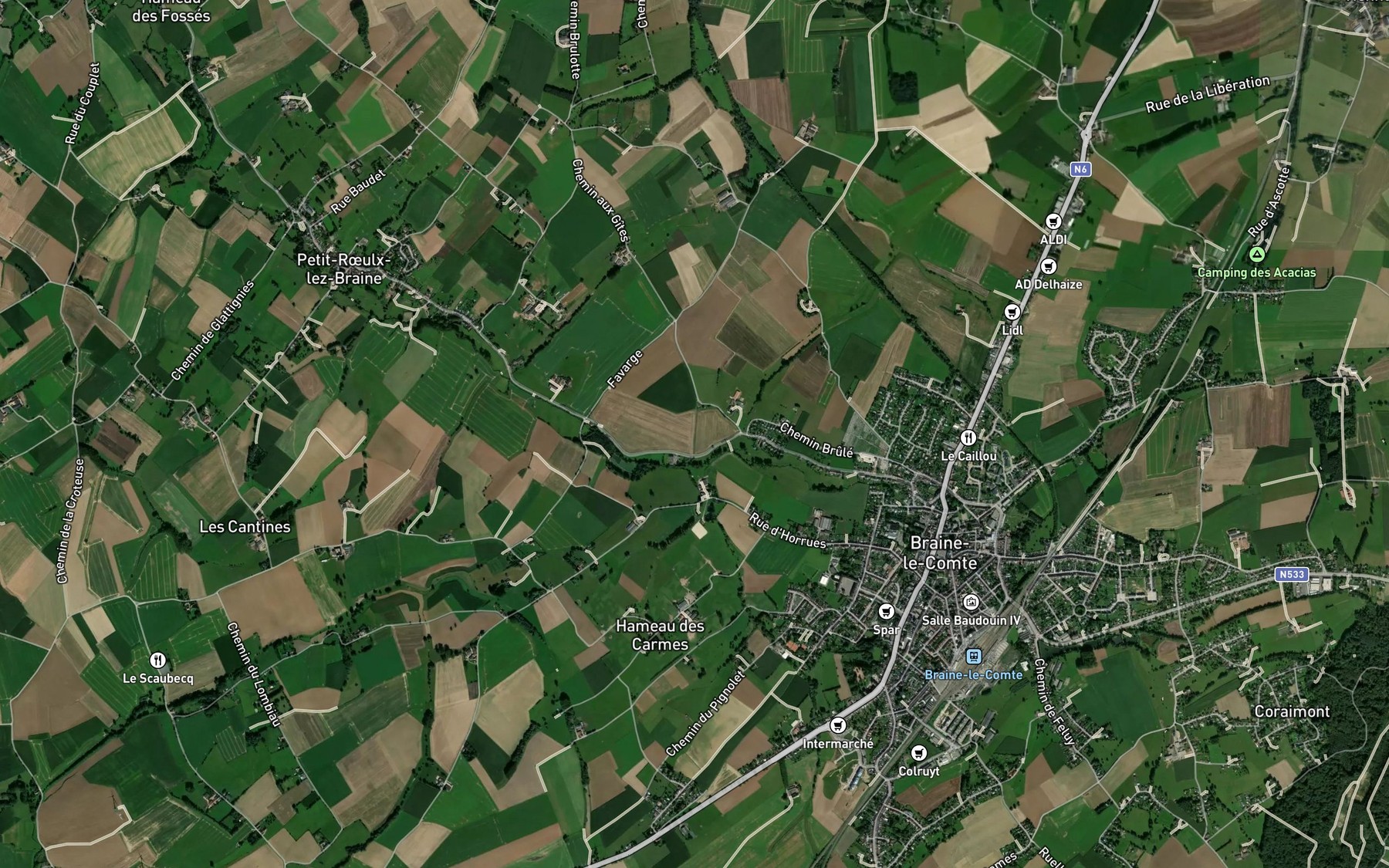 Satellite map of the Ceriseau