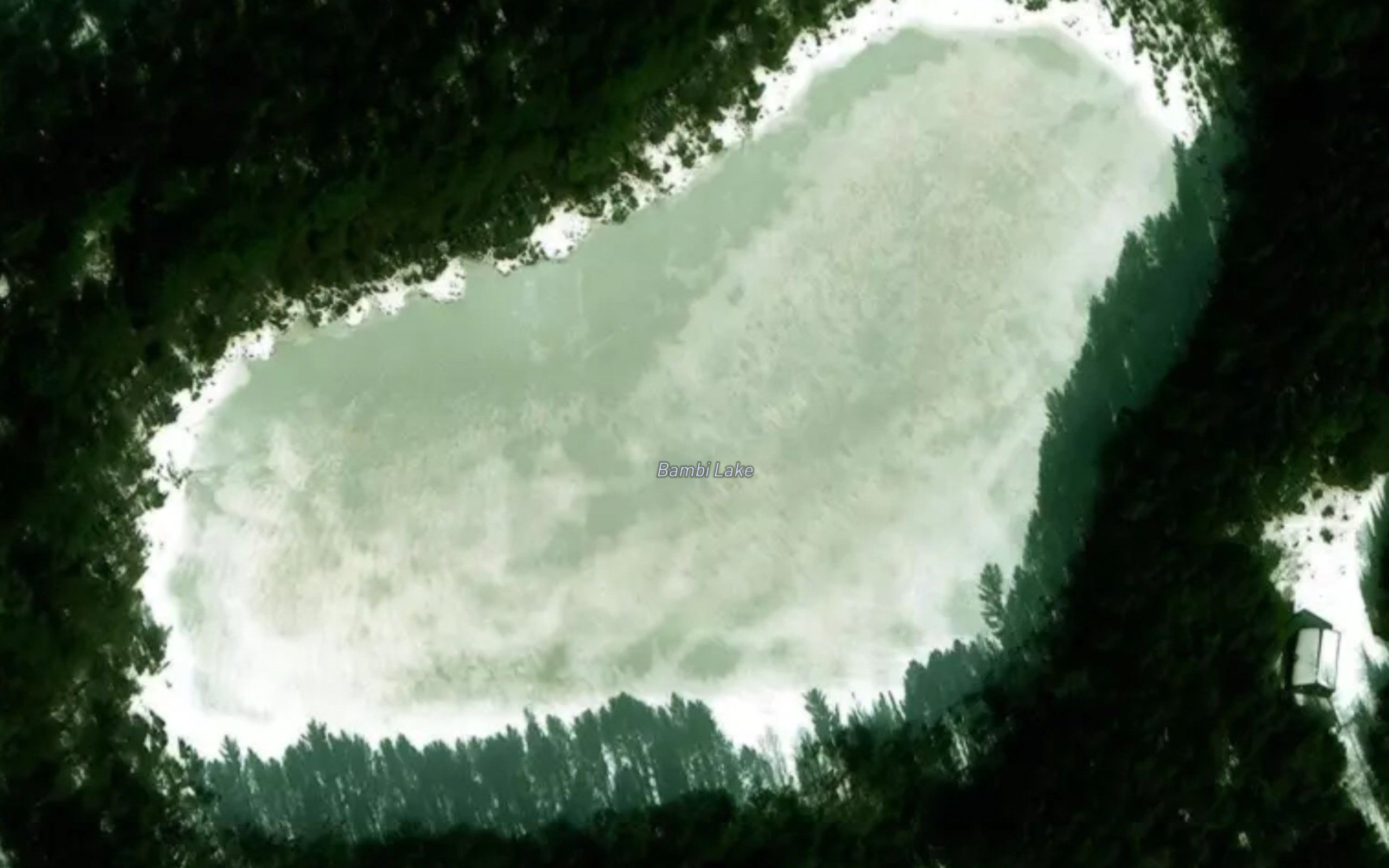 Bambi Lake