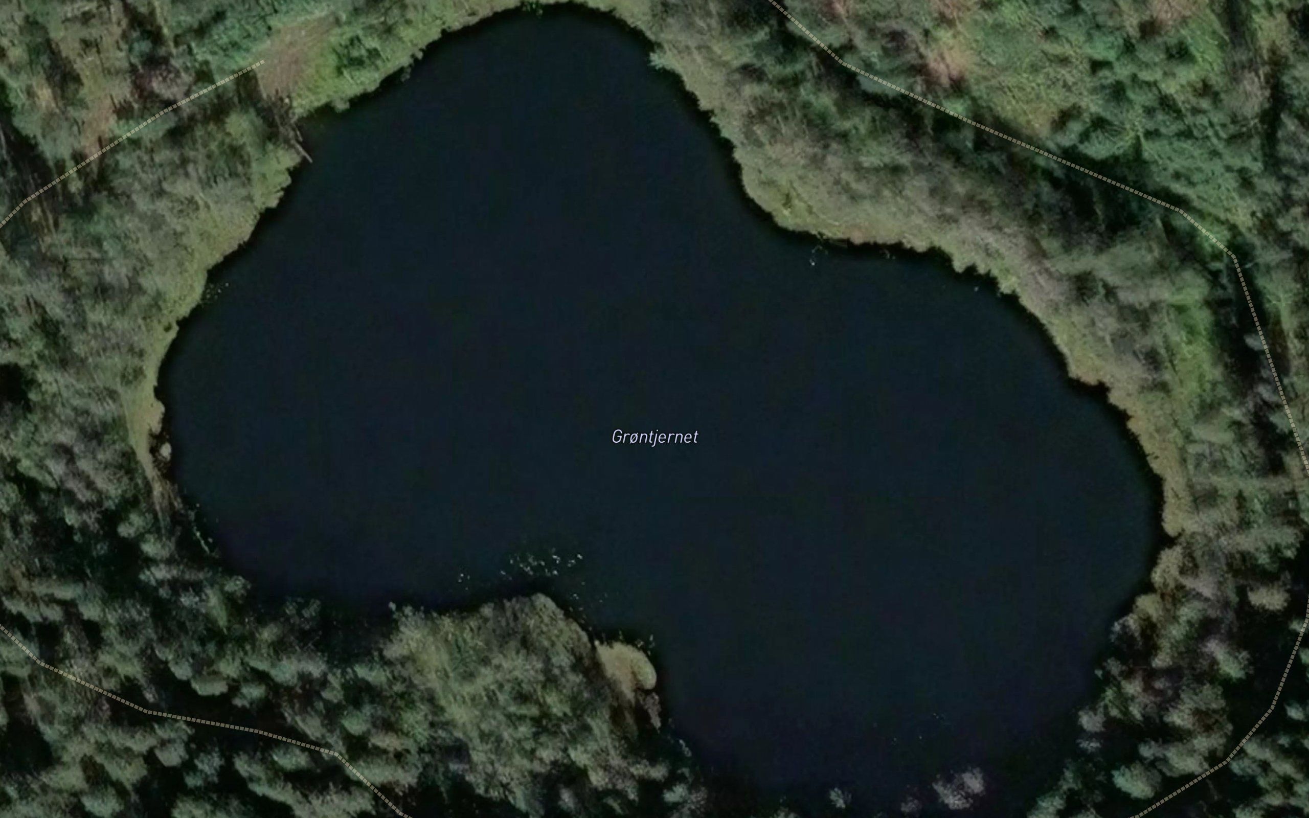 Gronntjernet