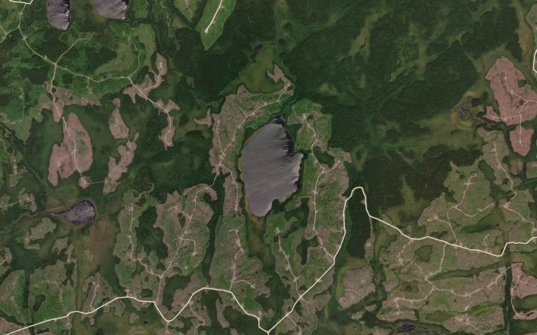 Satellite map of the Donnet Lake