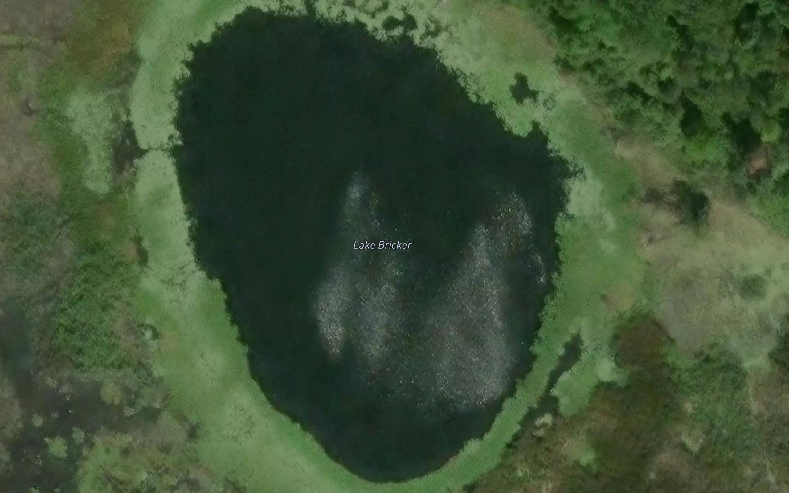 Lake Bricker