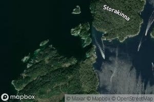 Pallvika
