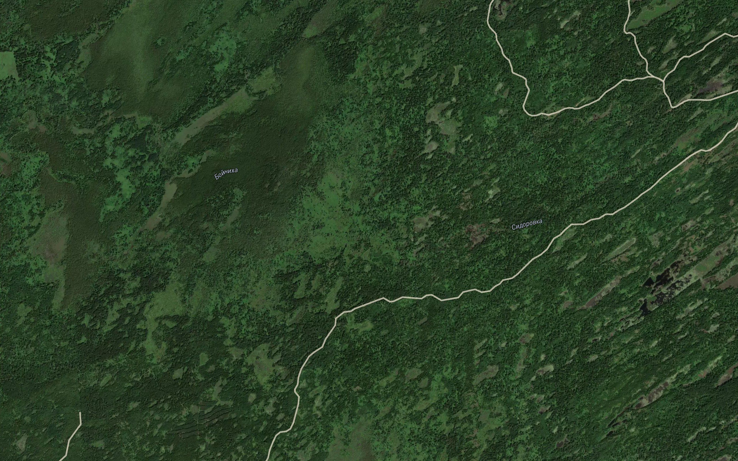 Sidorovka