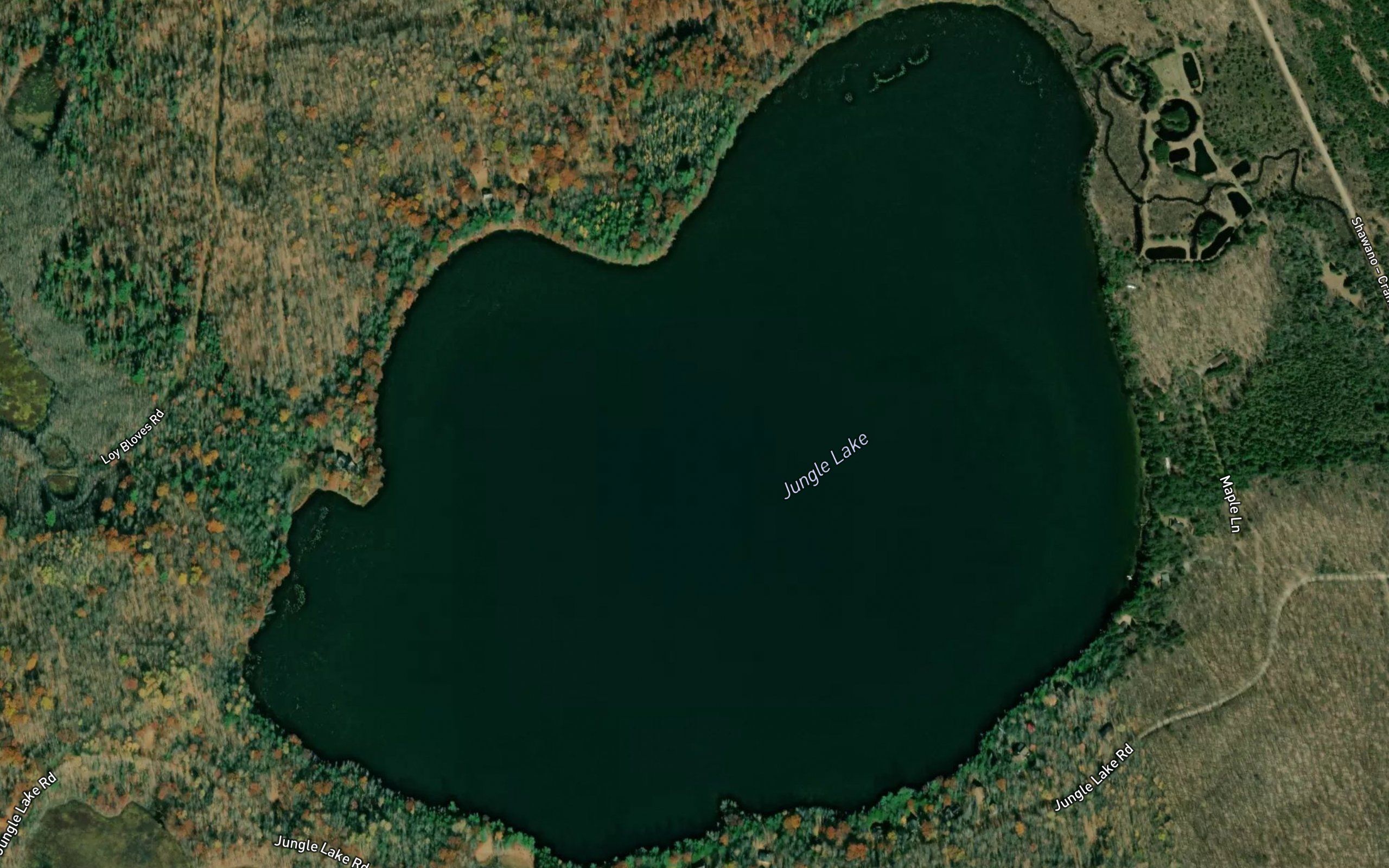 Jungle Lake