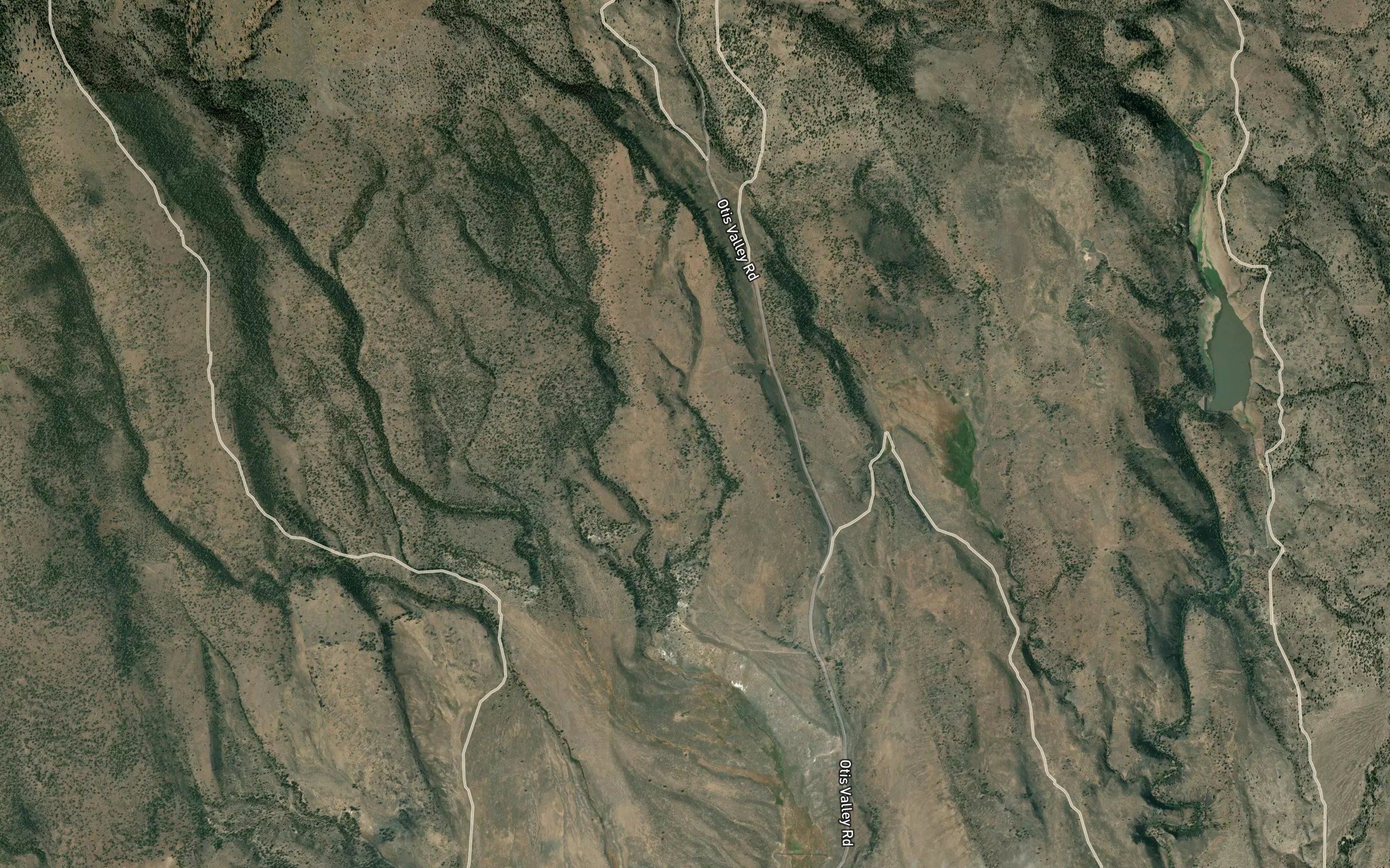 Jackson Spring