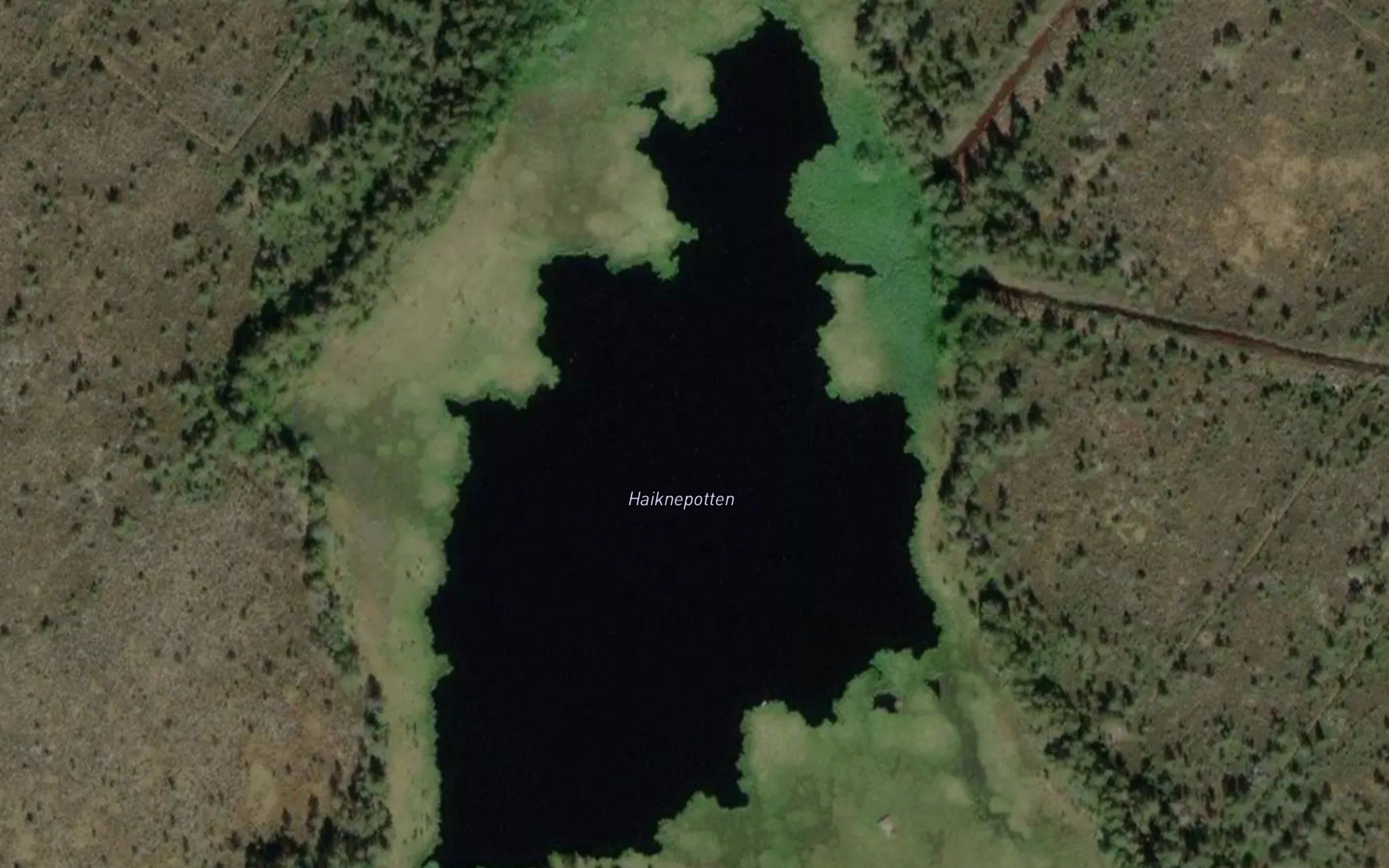 Haiknepotten