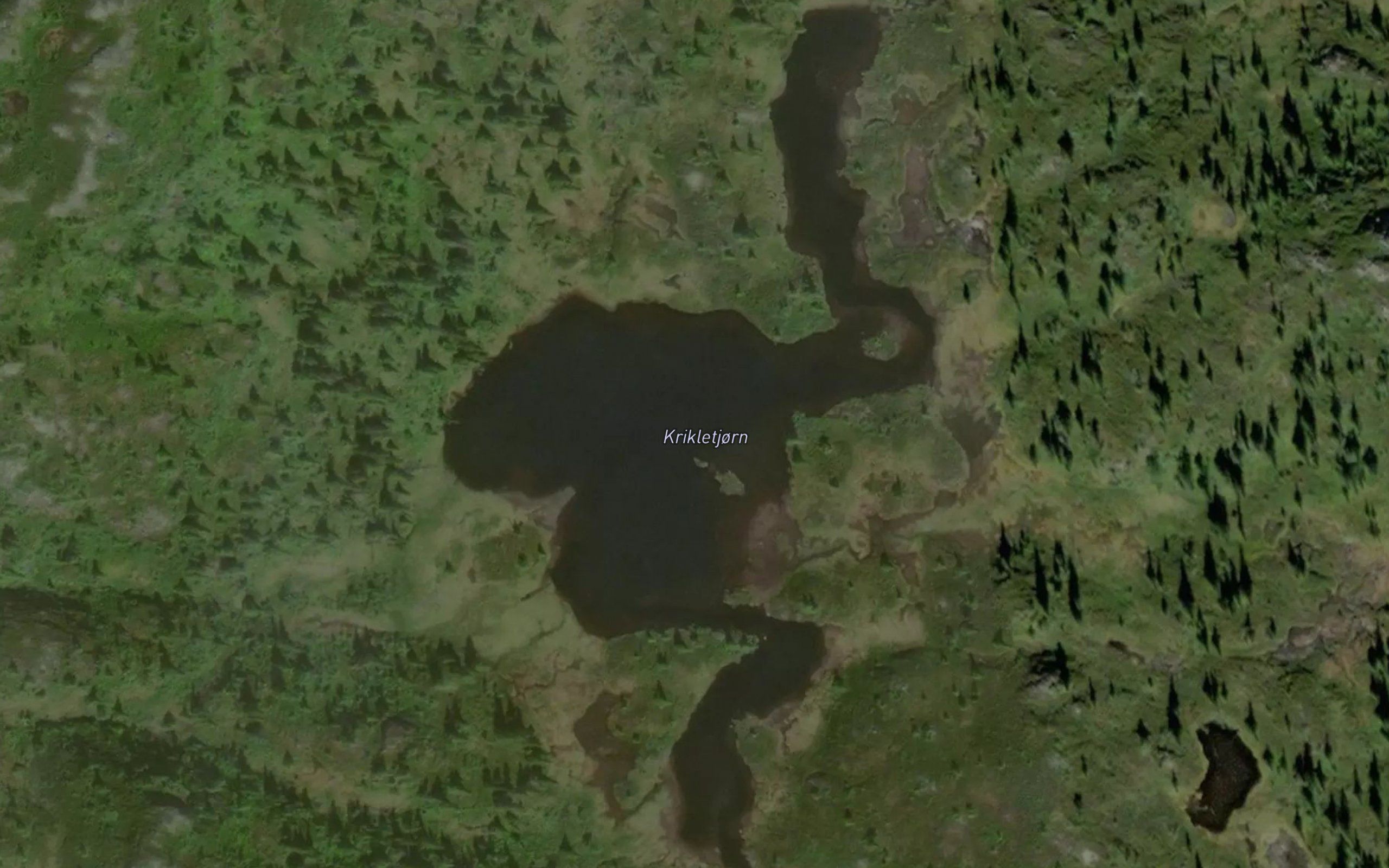 Krikletjorn