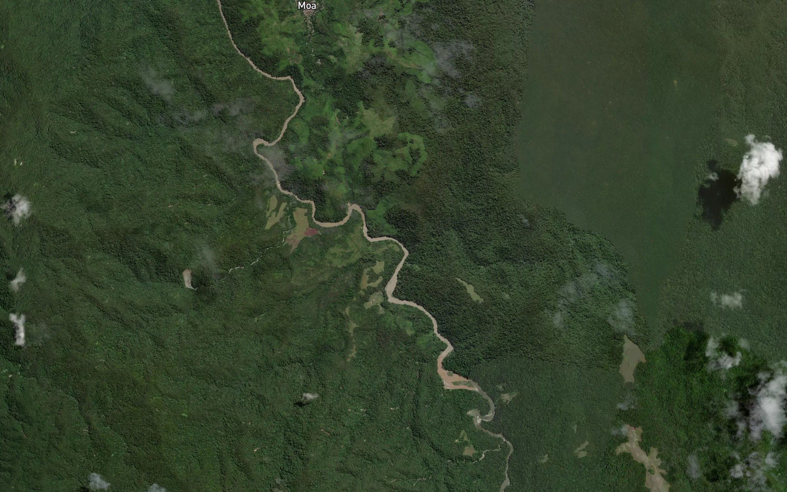 Halu Tea