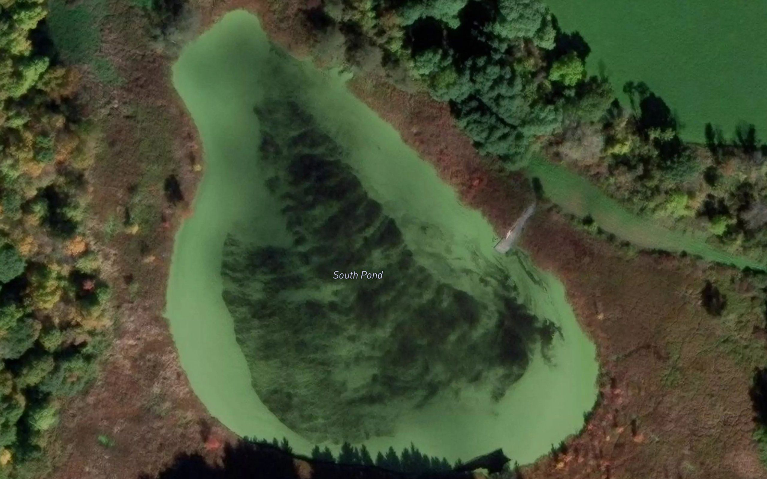 South Pond