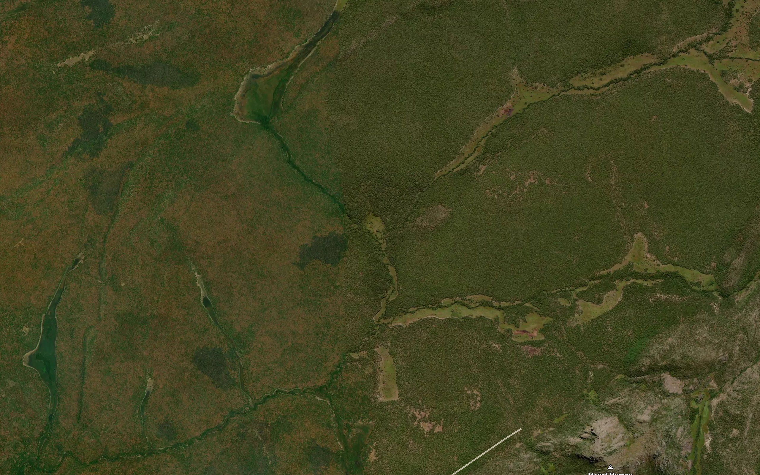 Kapata