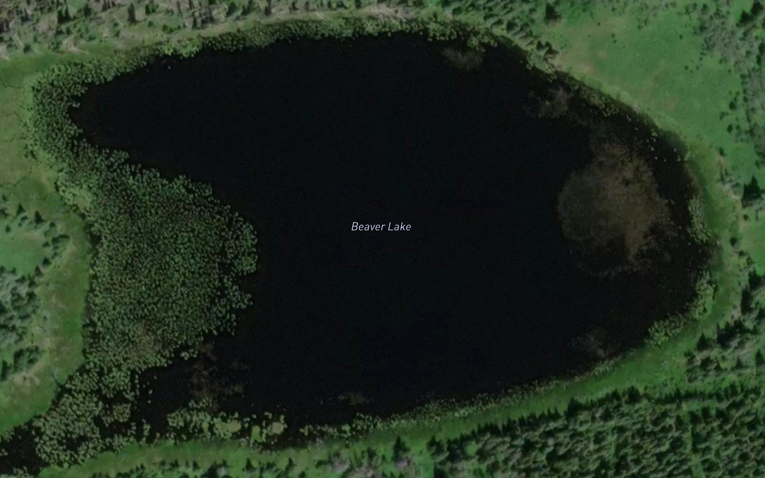 Beaver Lake