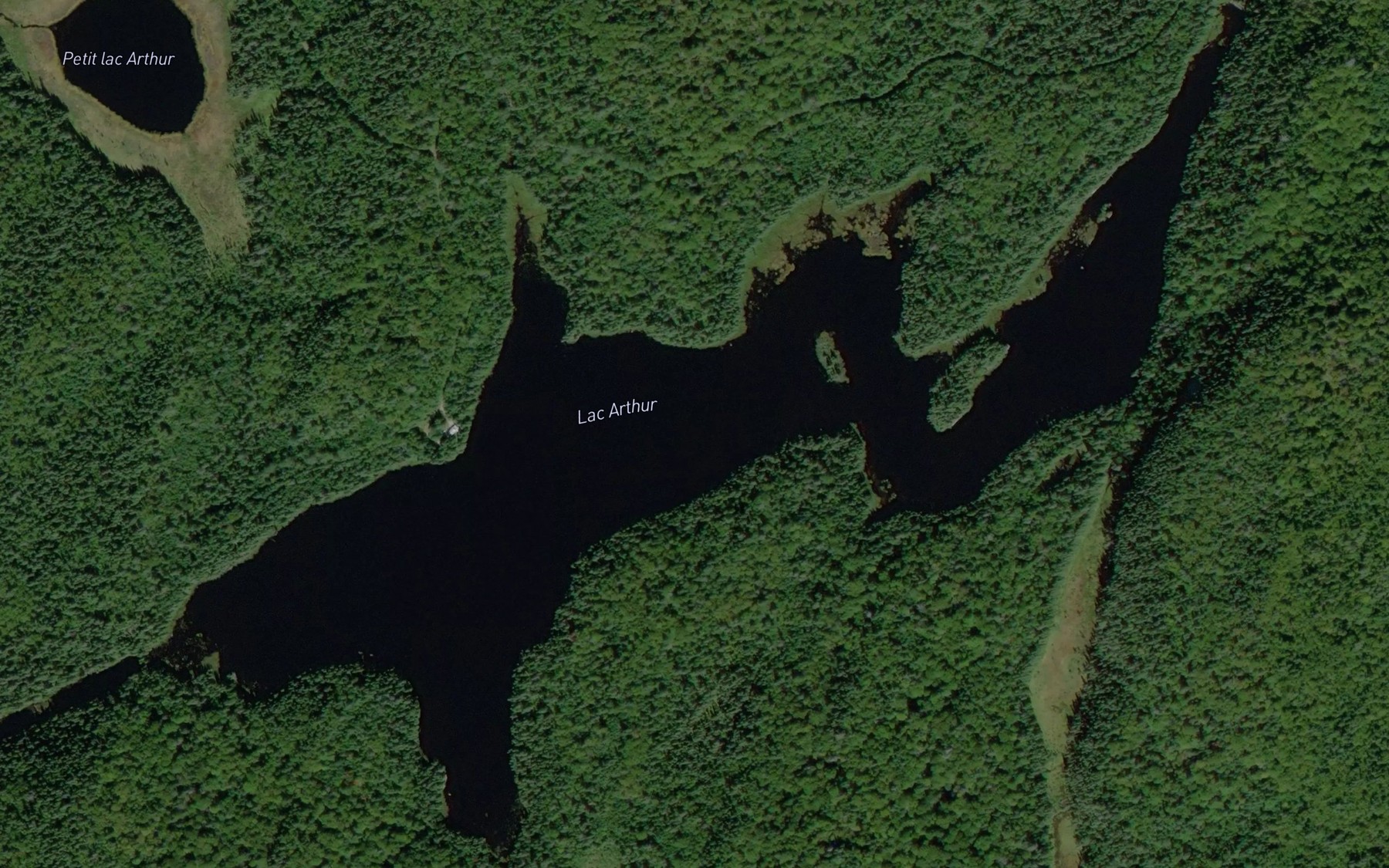 Satellite map of the Lac Arthur