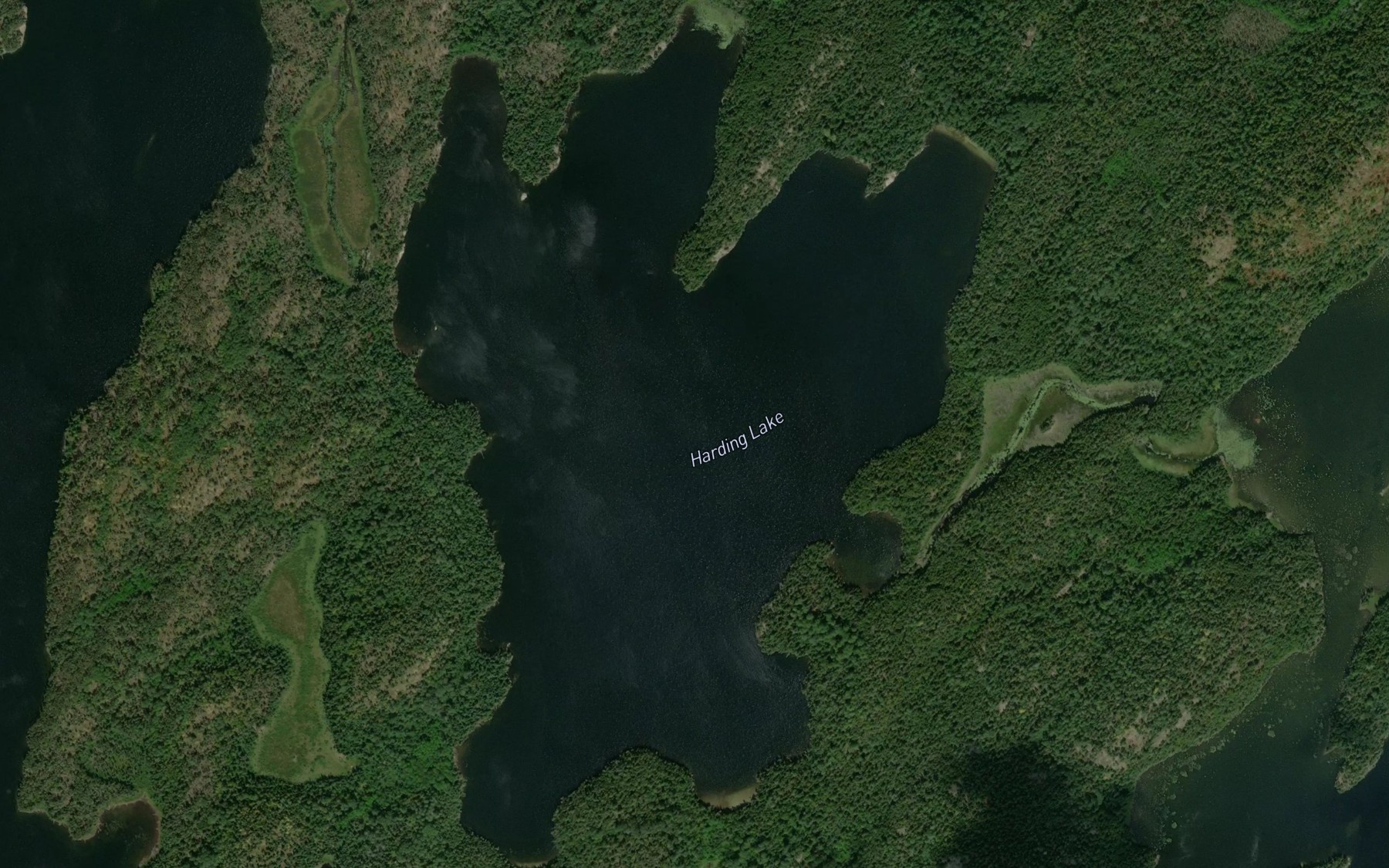 Satellite map of the Harding Lake