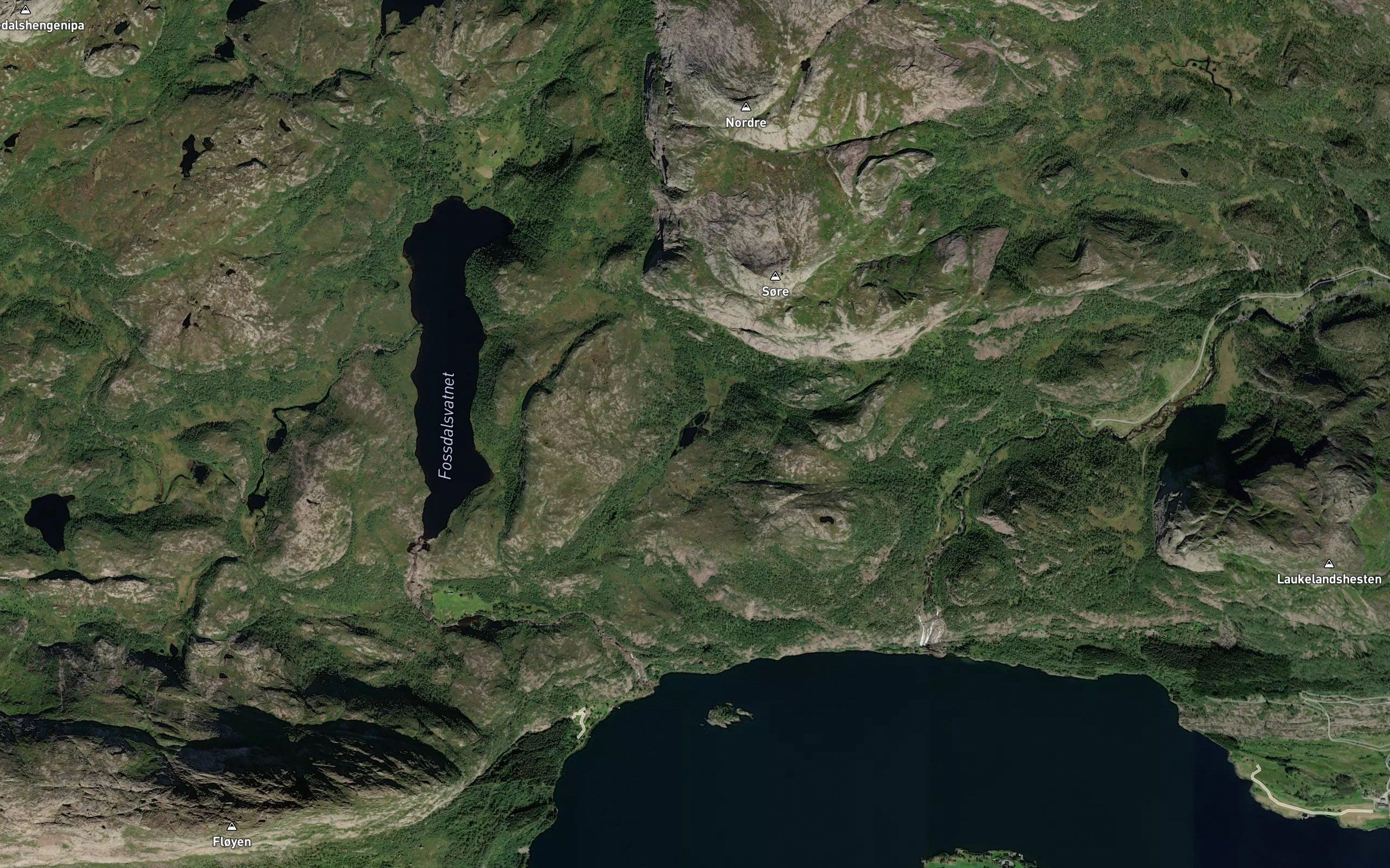 Lotjerna