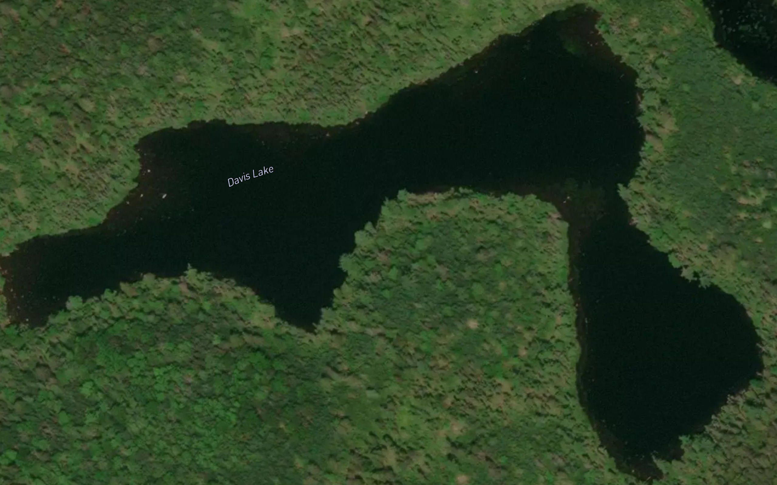 Davis Lake