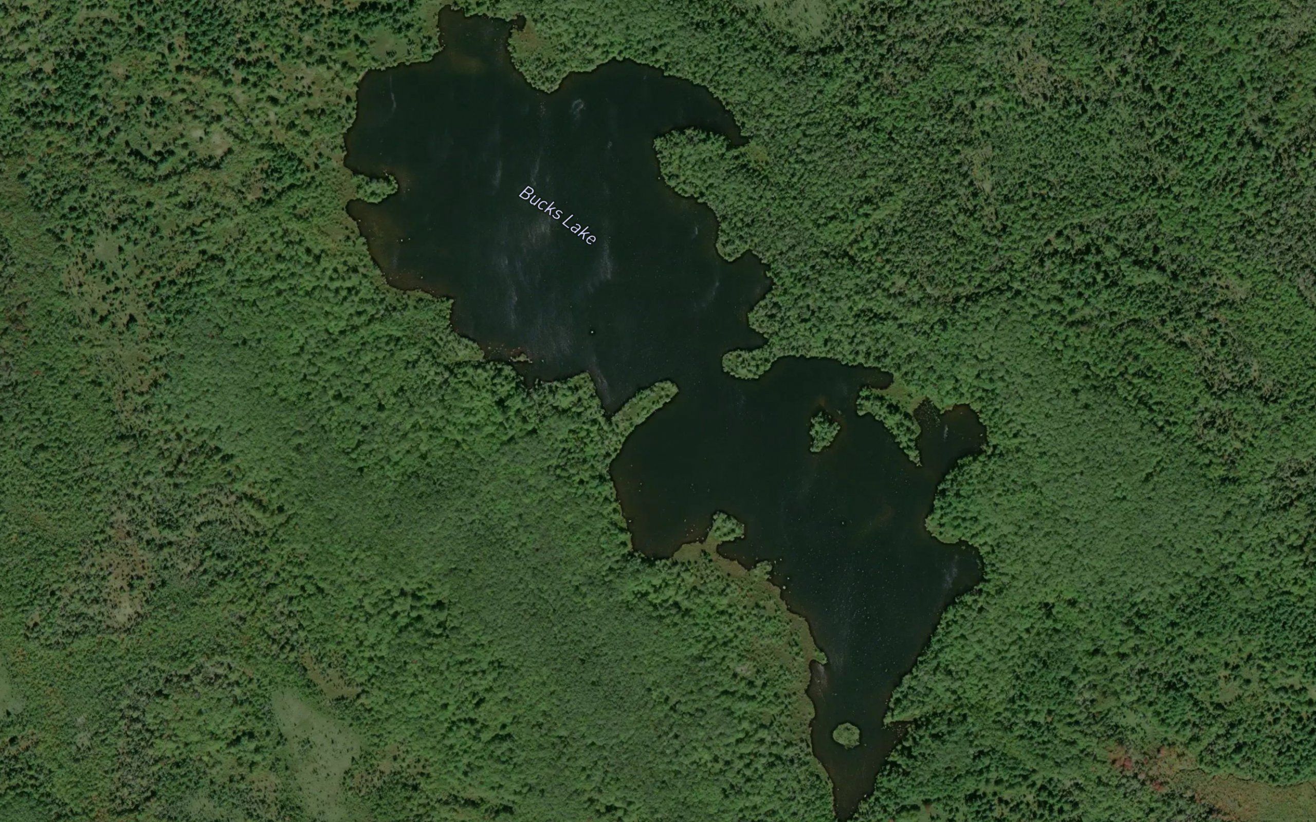 Bucks Lake