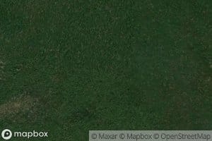 Rio Negro de Caimanes