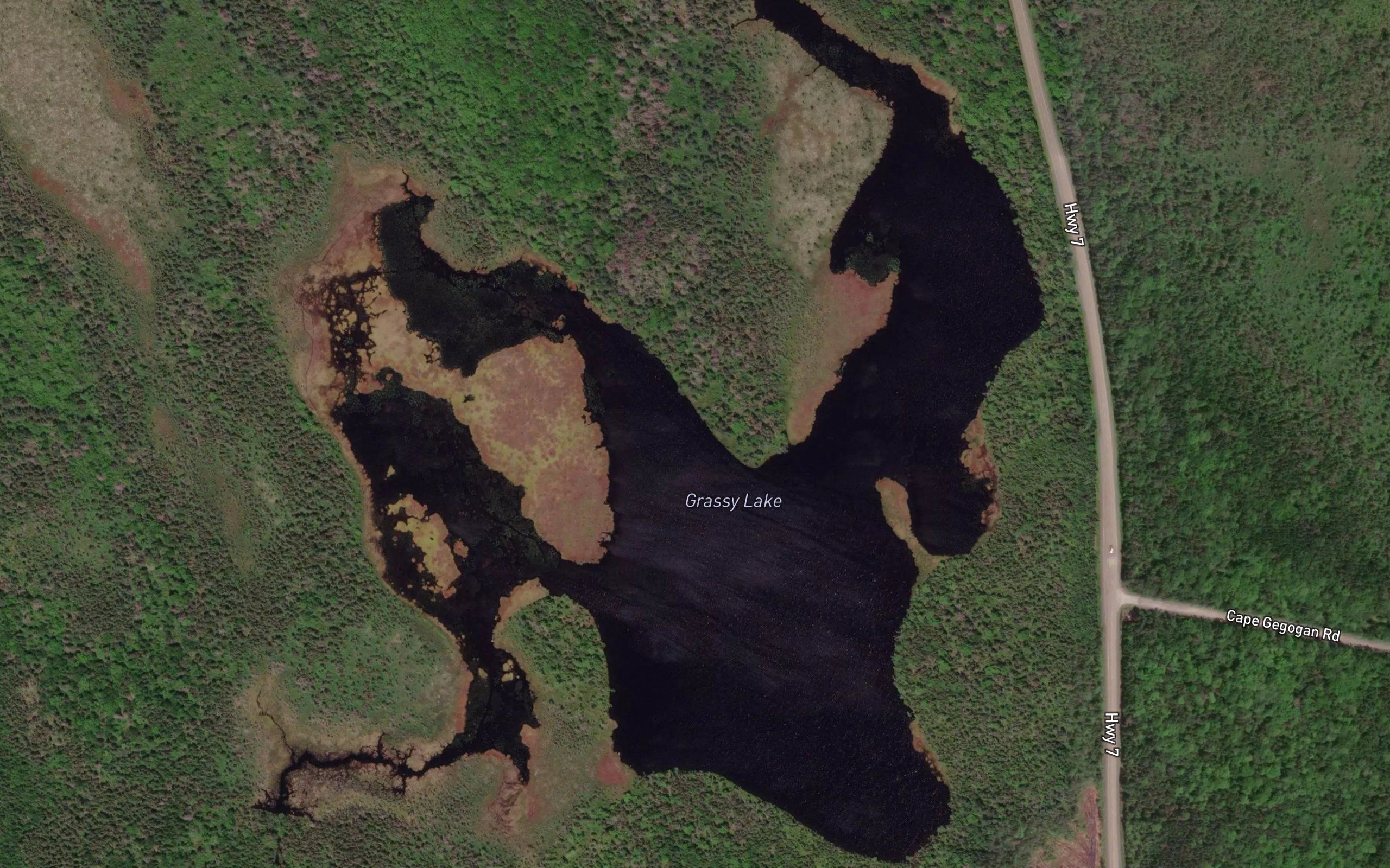 Grassy Lake
