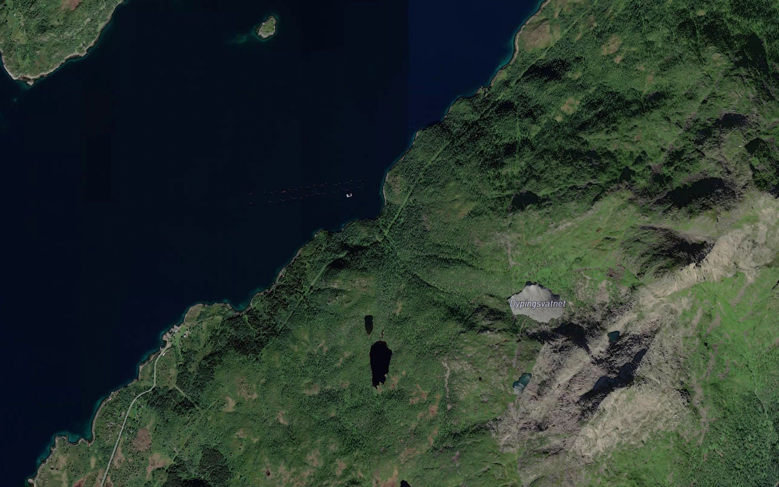 Dypingselva