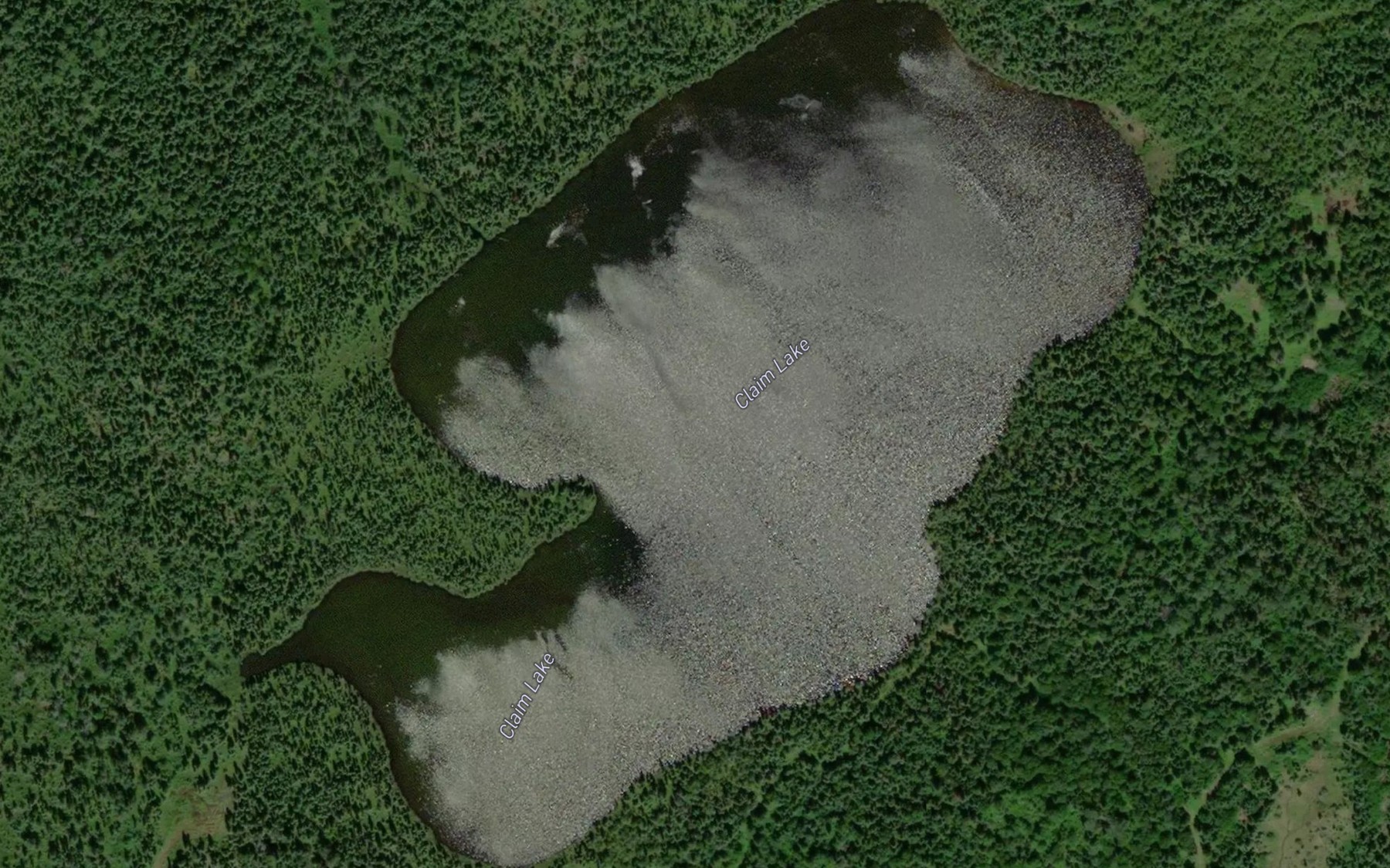 Satellite map of the Claim Lake