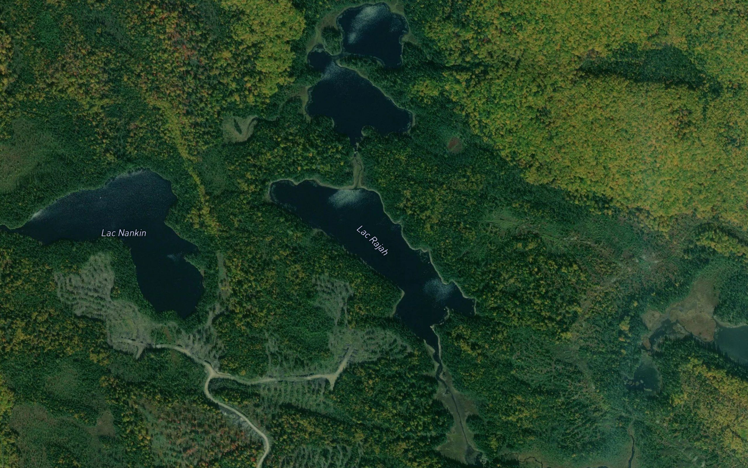 Lac Rajah