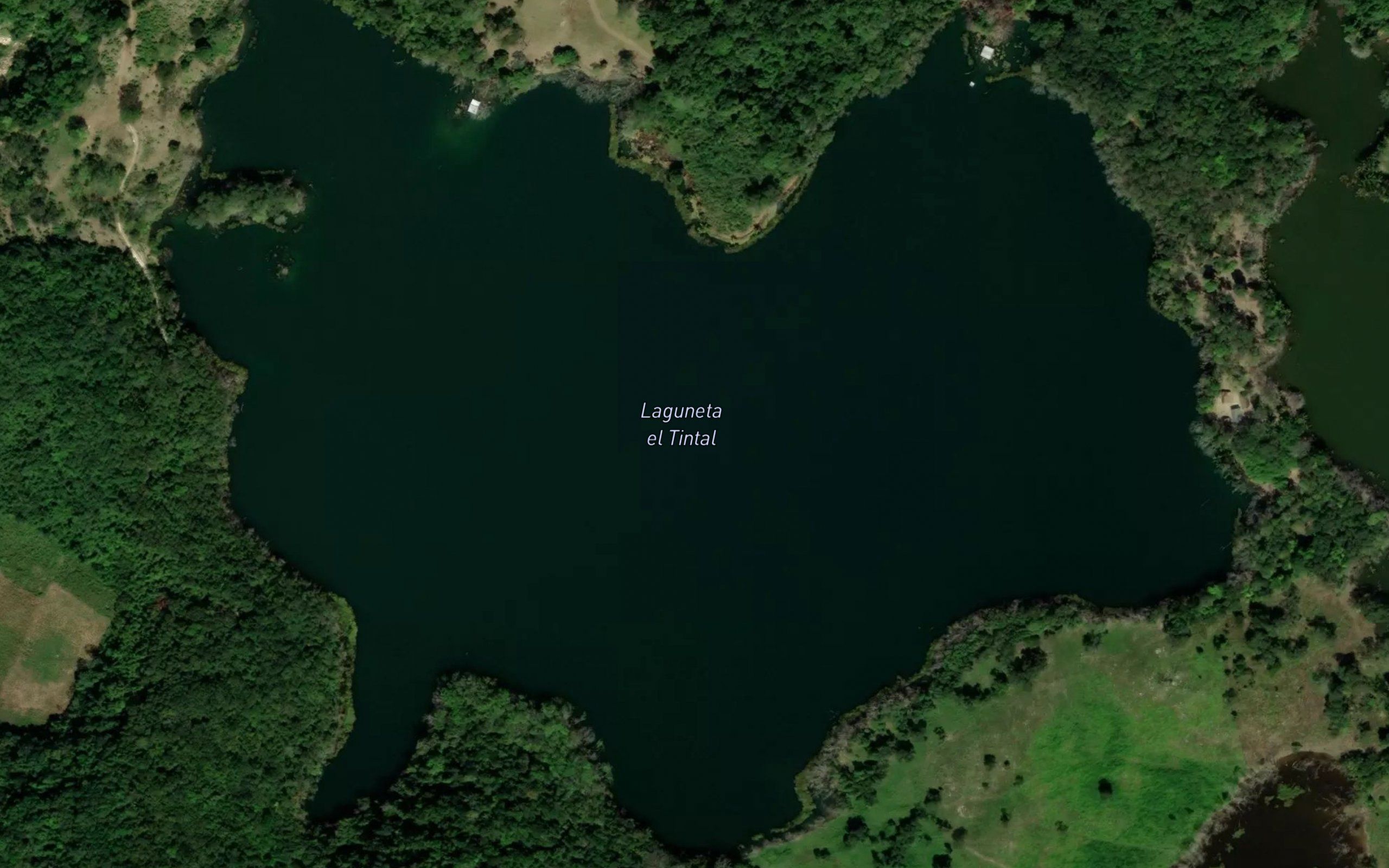 Laguneta El Tintal