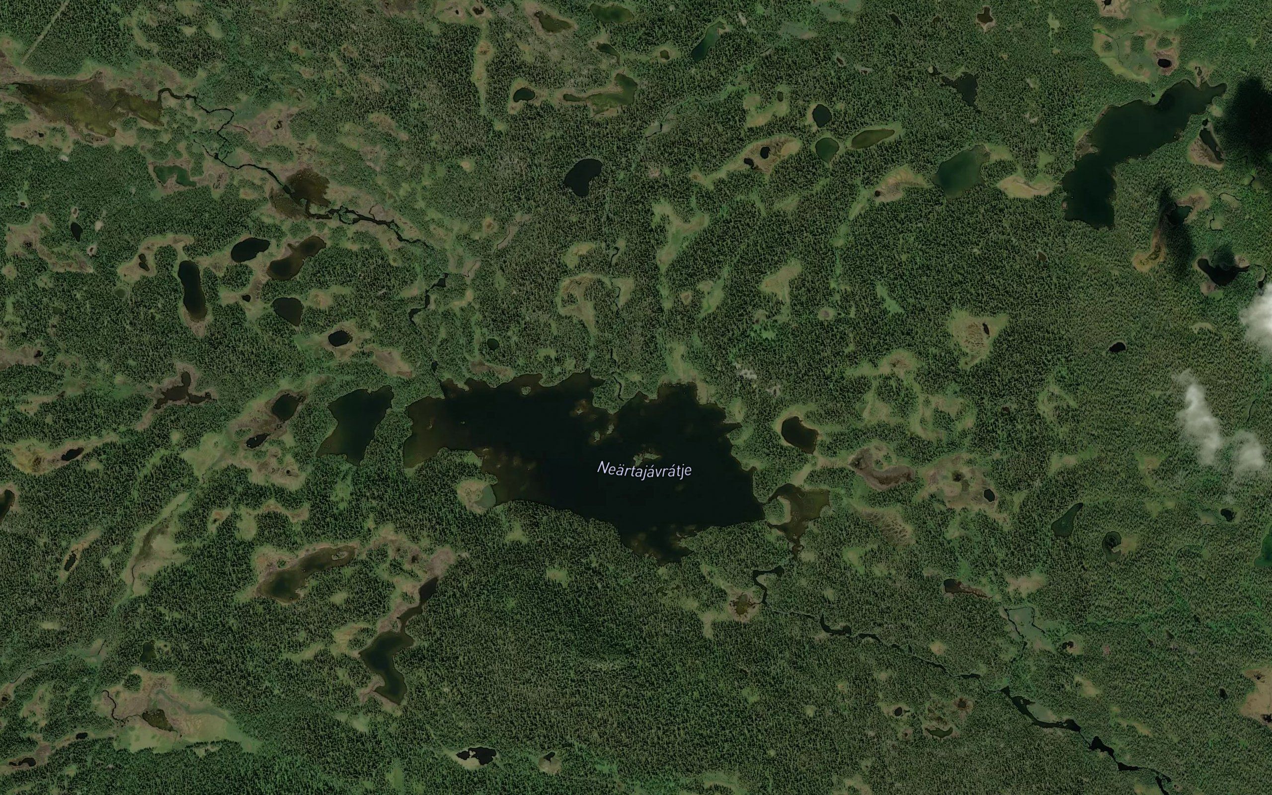 Nartajaure