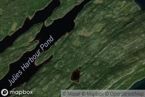 Julies Harbour Pond