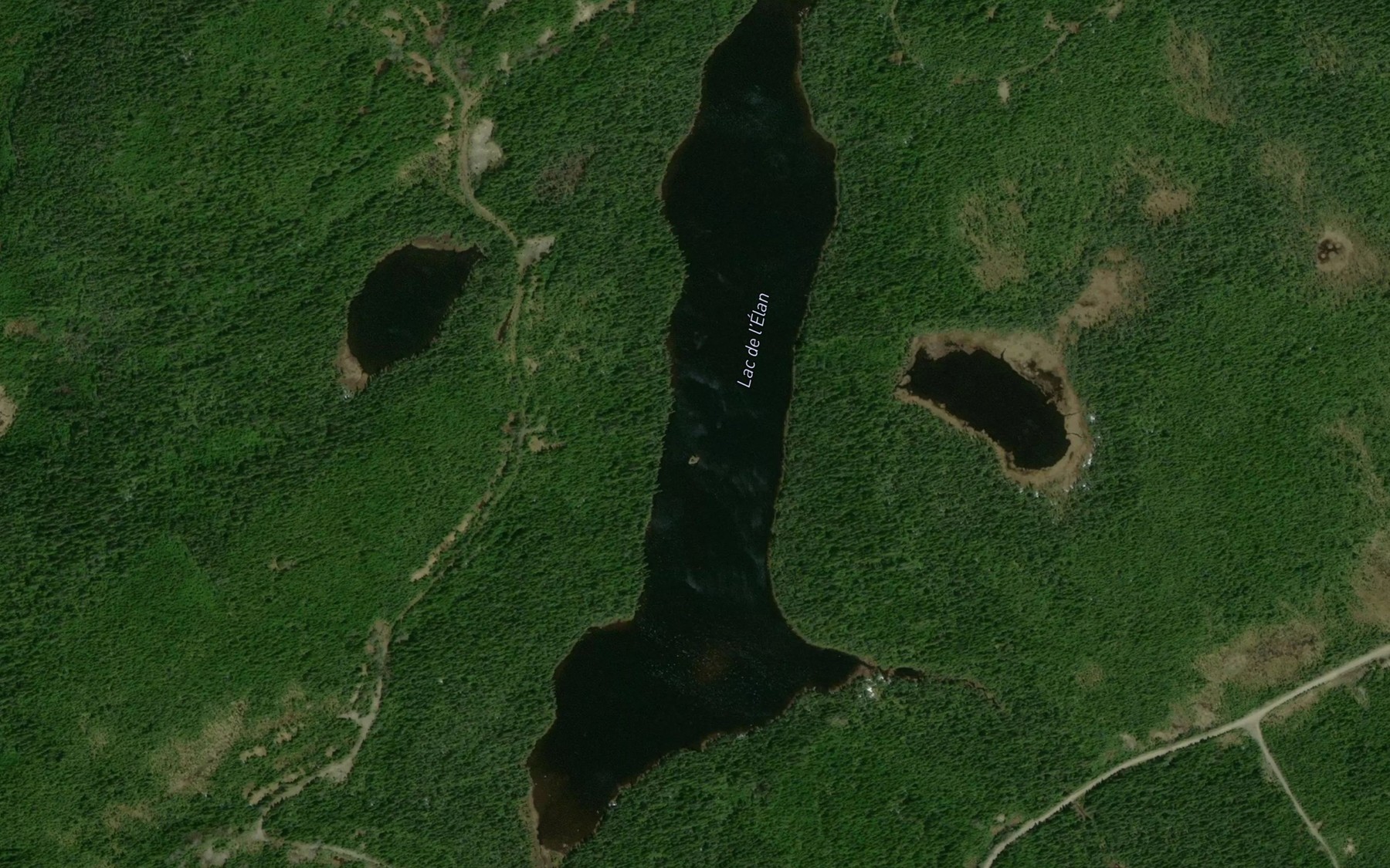 Satellite map of the Lac de l'Elan